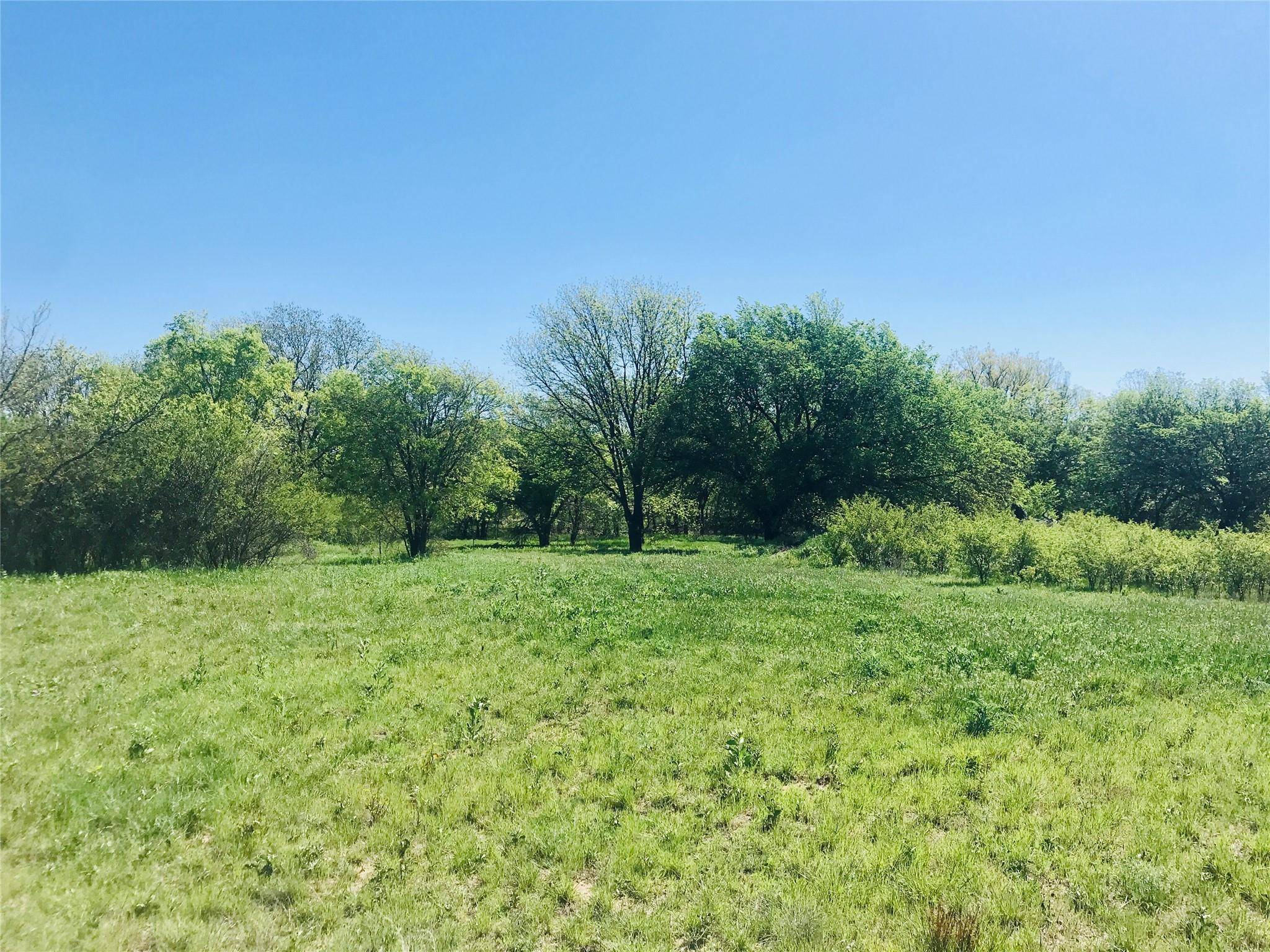 Cross Plains, TX 76443,TBD Fm 880 S