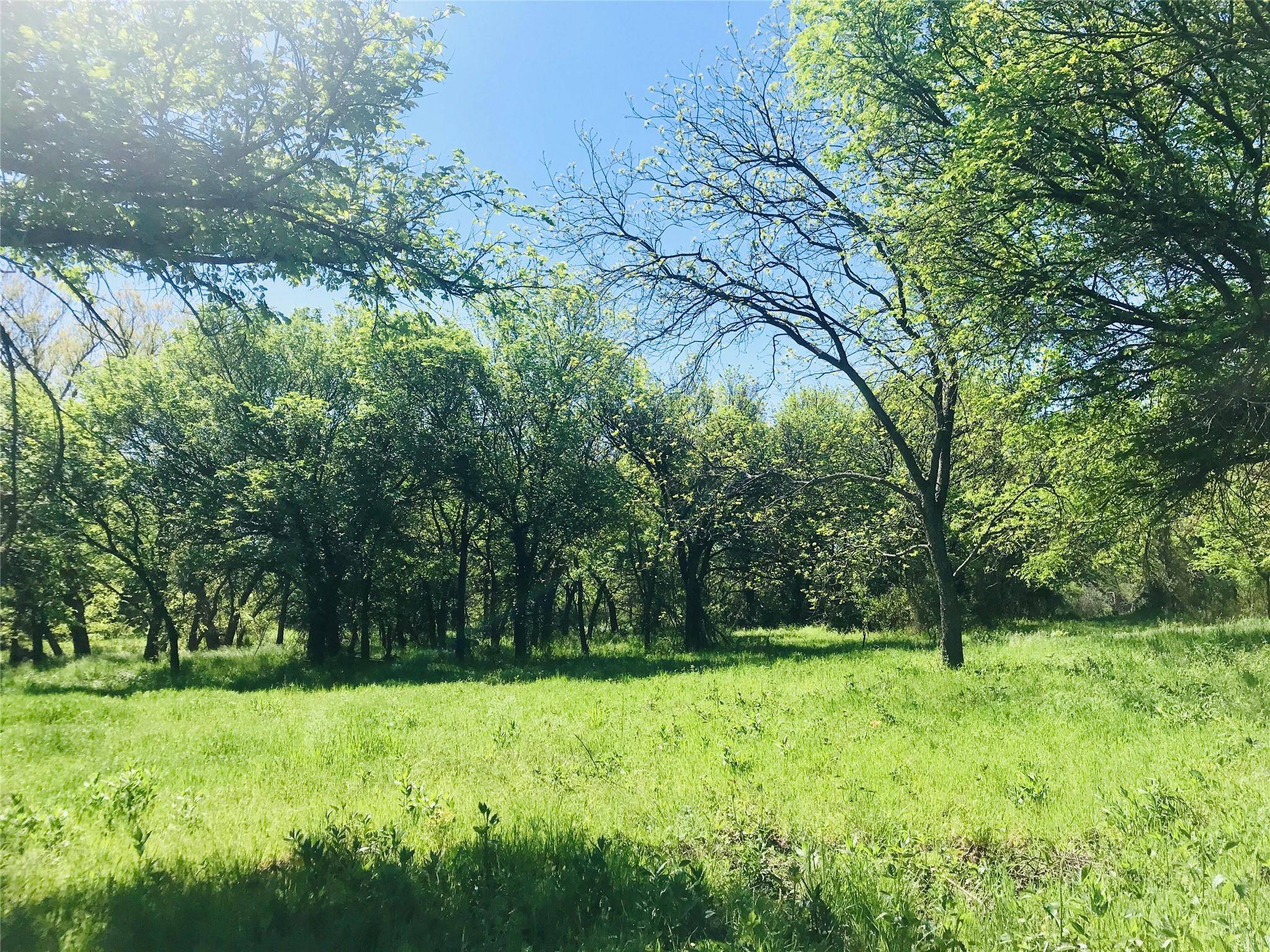 Cross Plains, TX 76443,TBD Fm 880 S