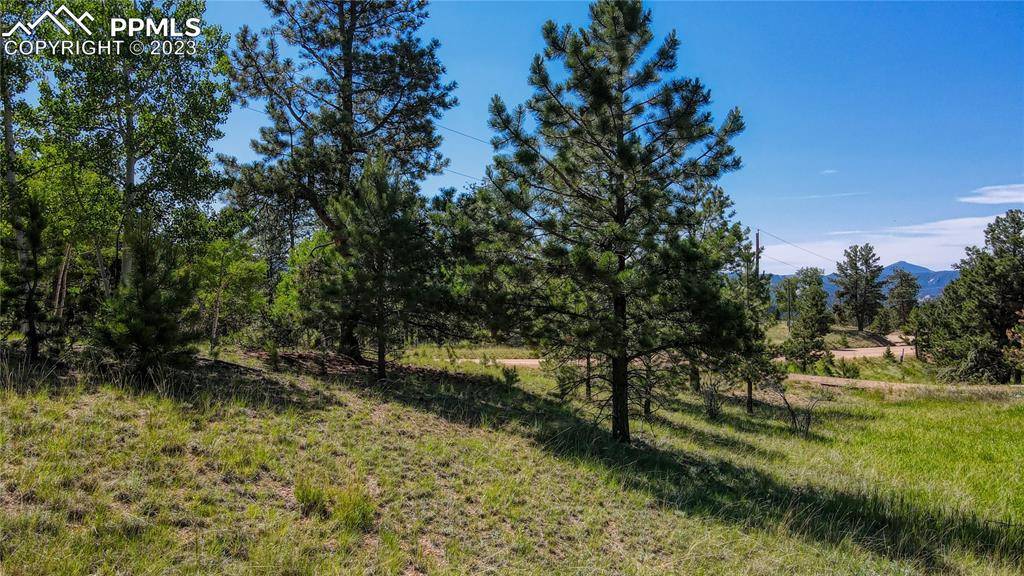 Florissant, CO 80816,43 Pinon LN