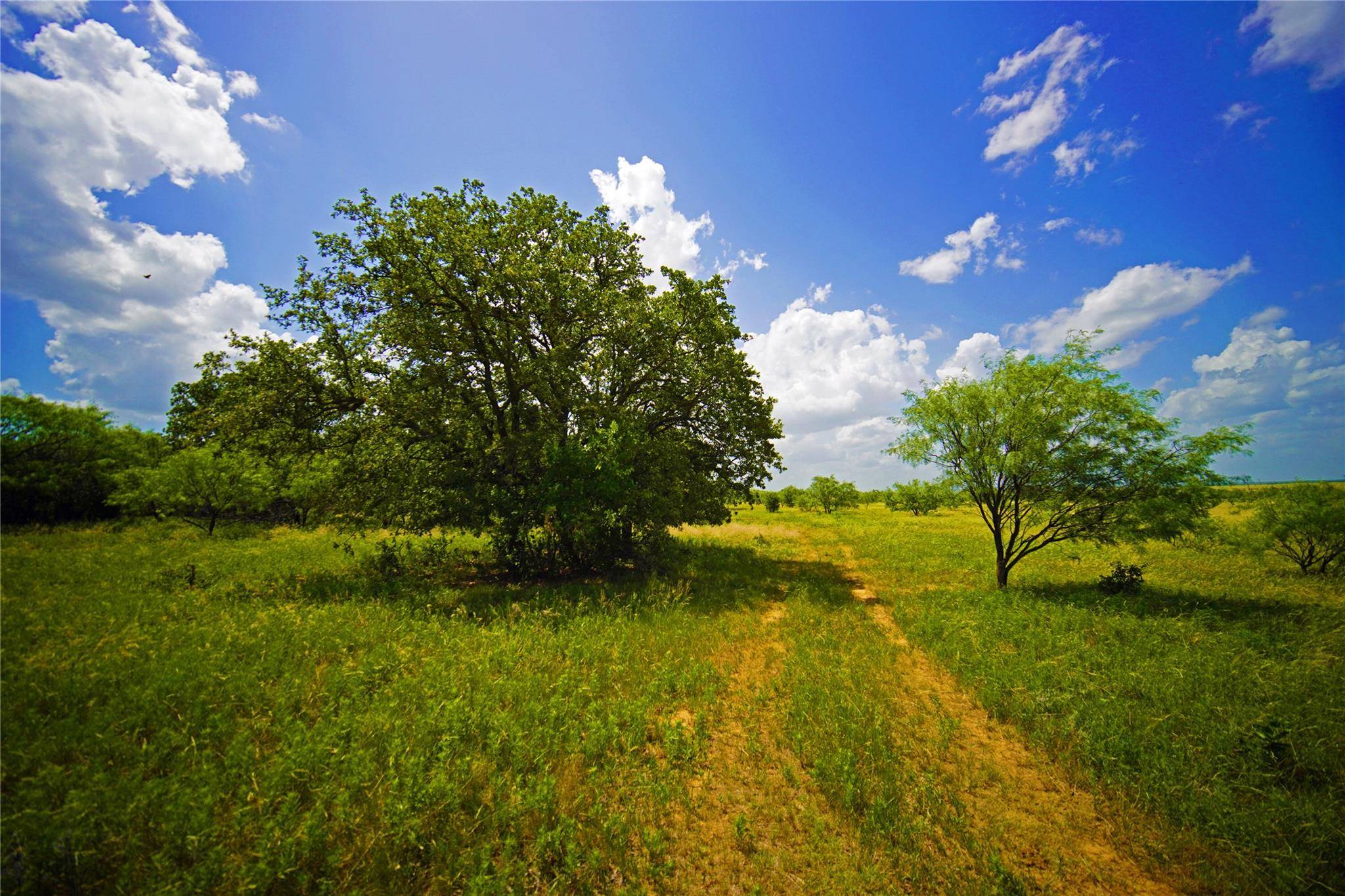 Jacksboro, TX 76458,TBD Four Corners Road