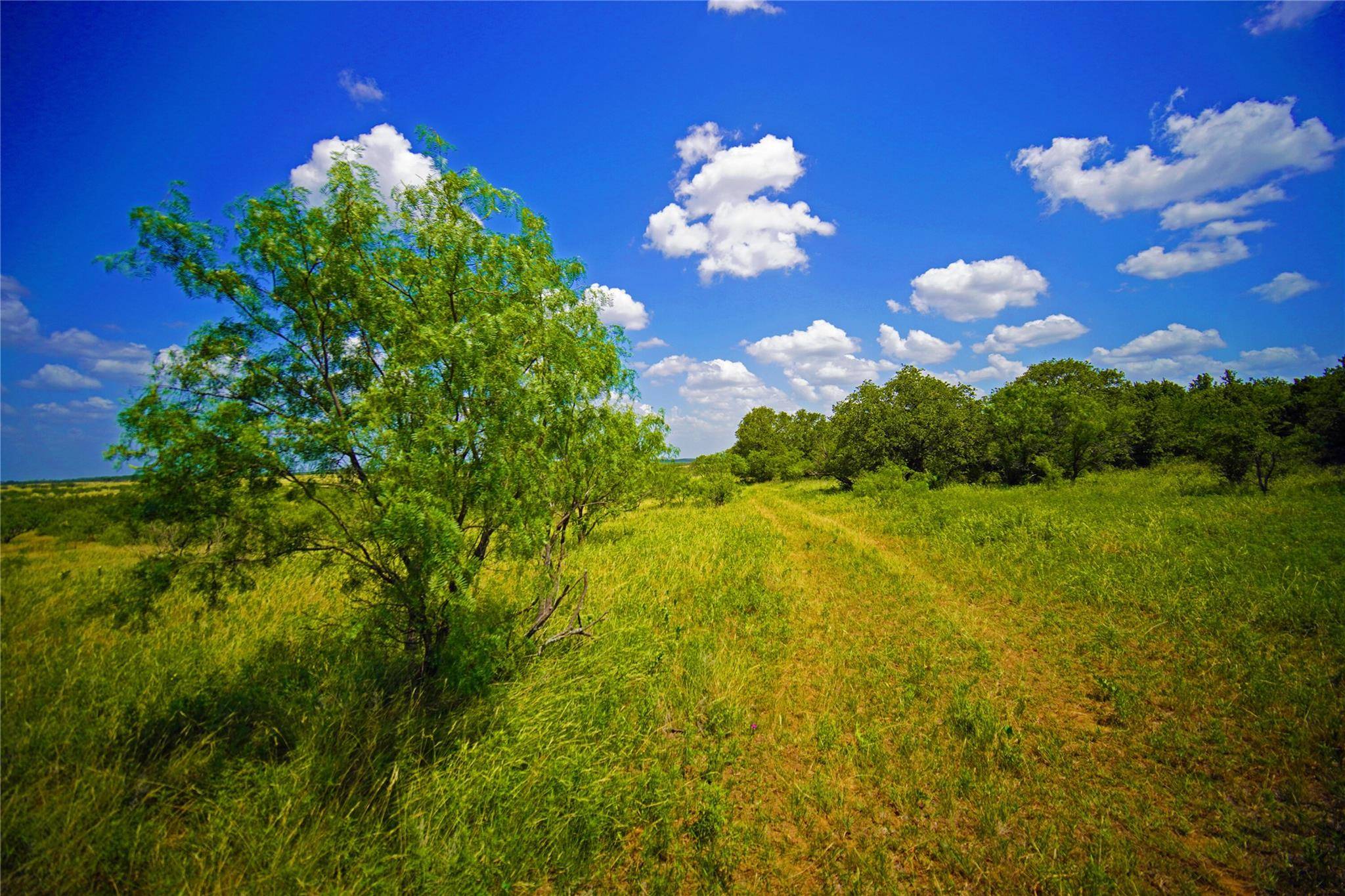 Jacksboro, TX 76458,TBD Four Corners Road