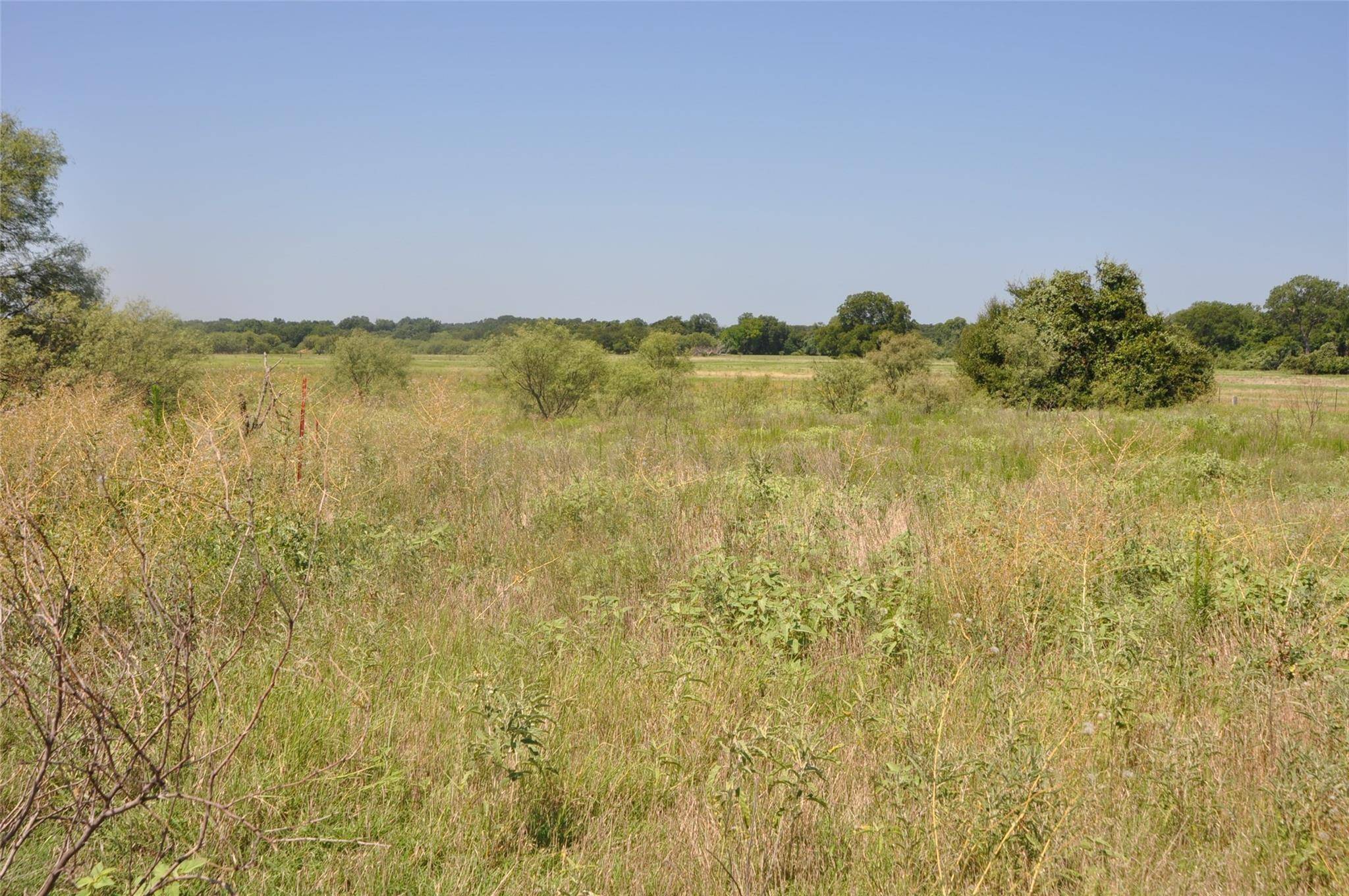 Millsap, TX 76066,TBD Hereford Lane