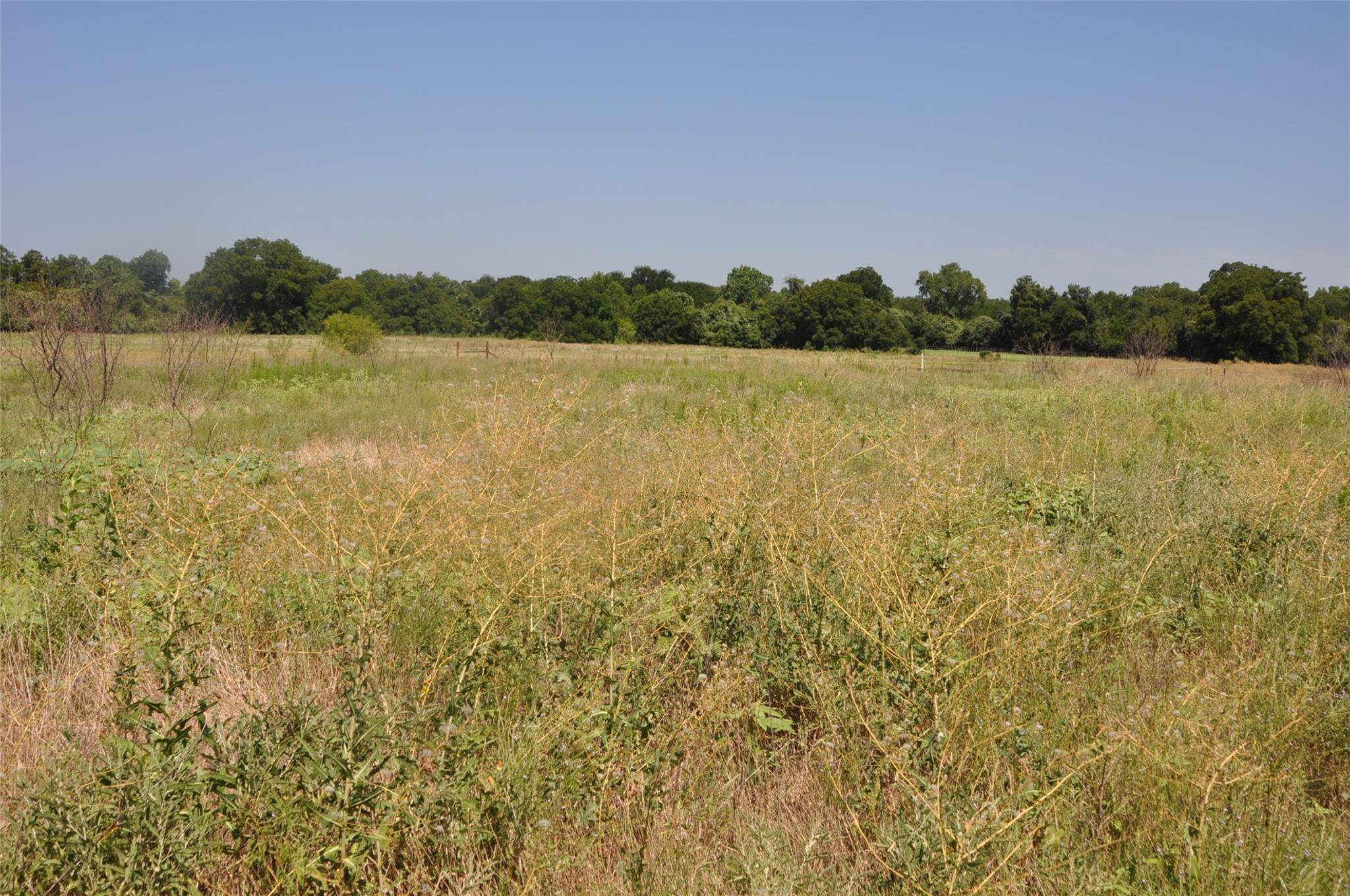 Millsap, TX 76066,TBD Hereford Lane