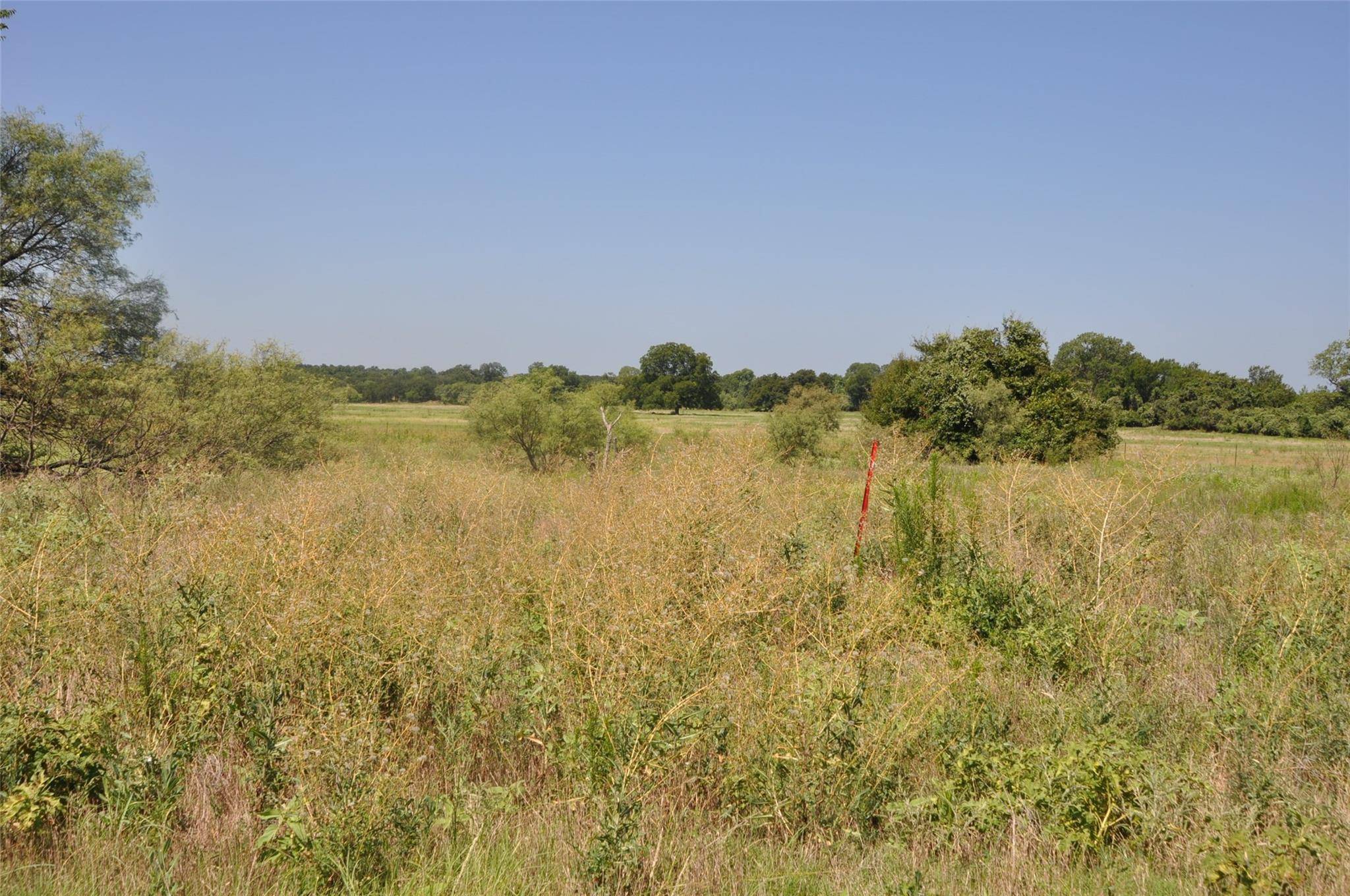 Millsap, TX 76066,TBD Hereford Lane