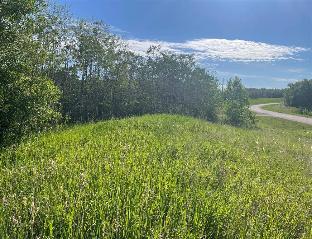 Rural Vermilion River County Of, AB T9X 1B1,20 Grandview Crescent