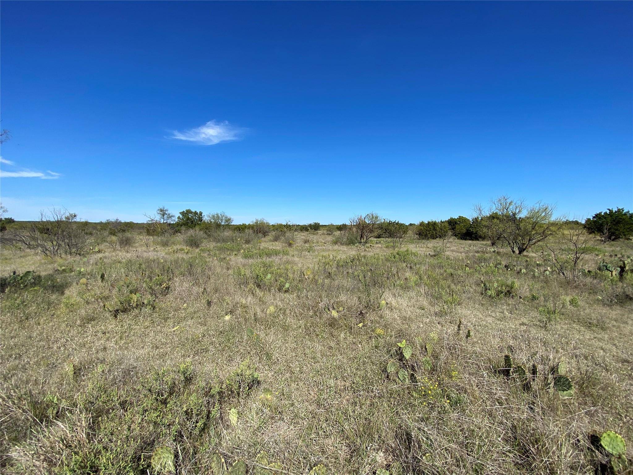 Santa Anna, TX 76878,TBD County Rd 108