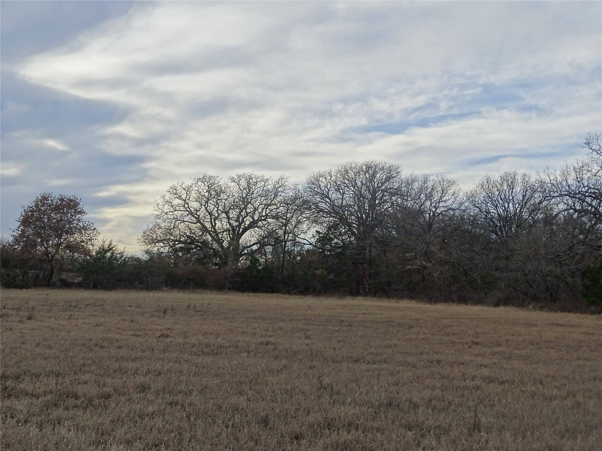 Kopperl, TX 76652,TBD FM 56