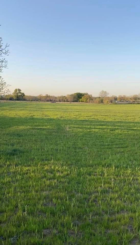 Bridgeport, TX 76426,Lot 10 County Road 3420