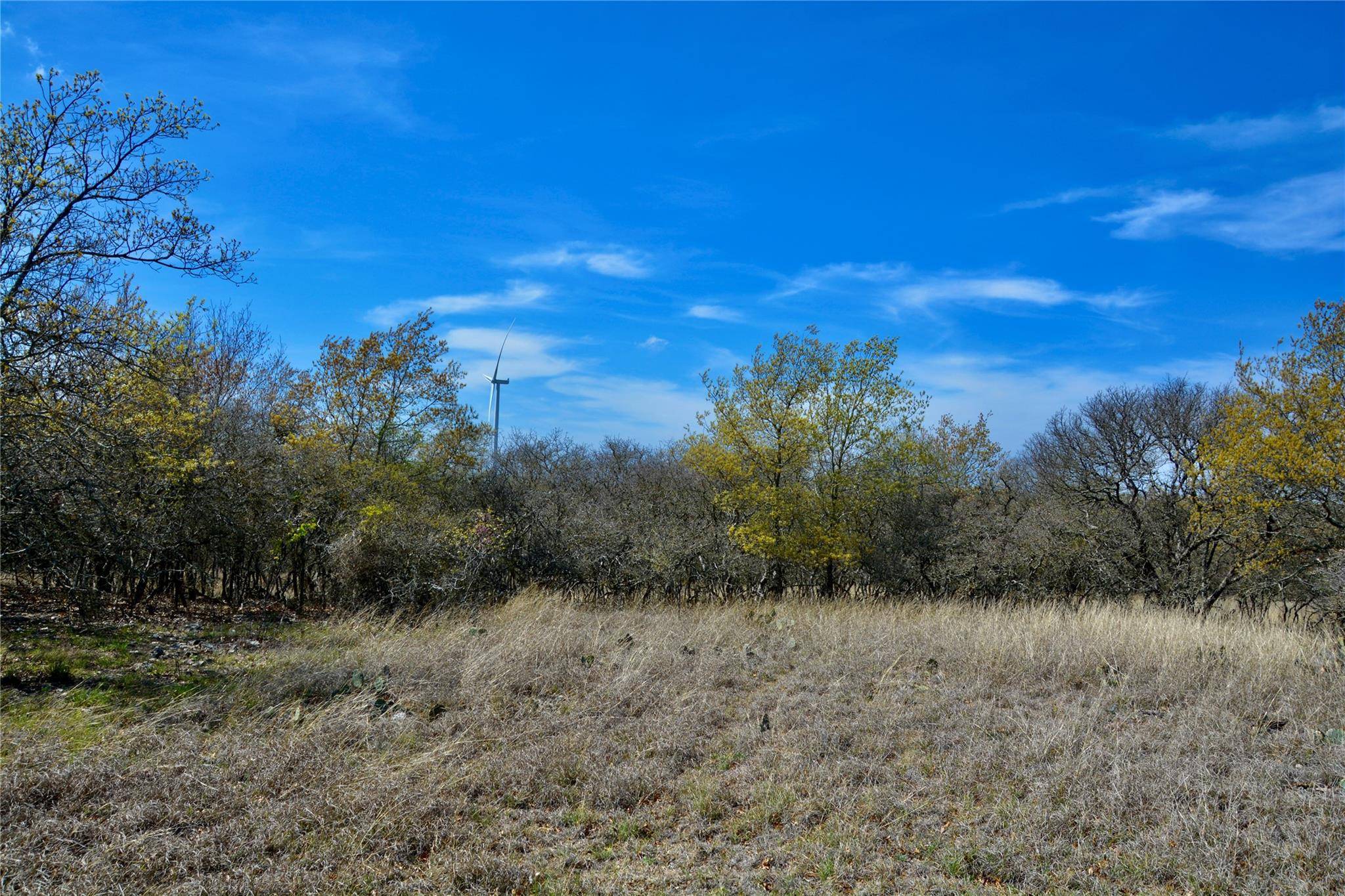 Goldthwaite, TX 76844,181 CR 237