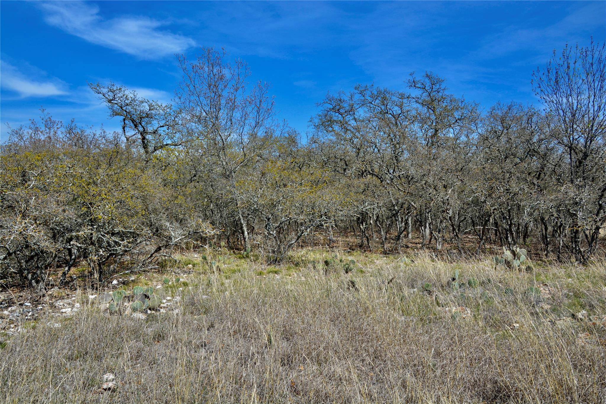 Goldthwaite, TX 76844,181 CR 237