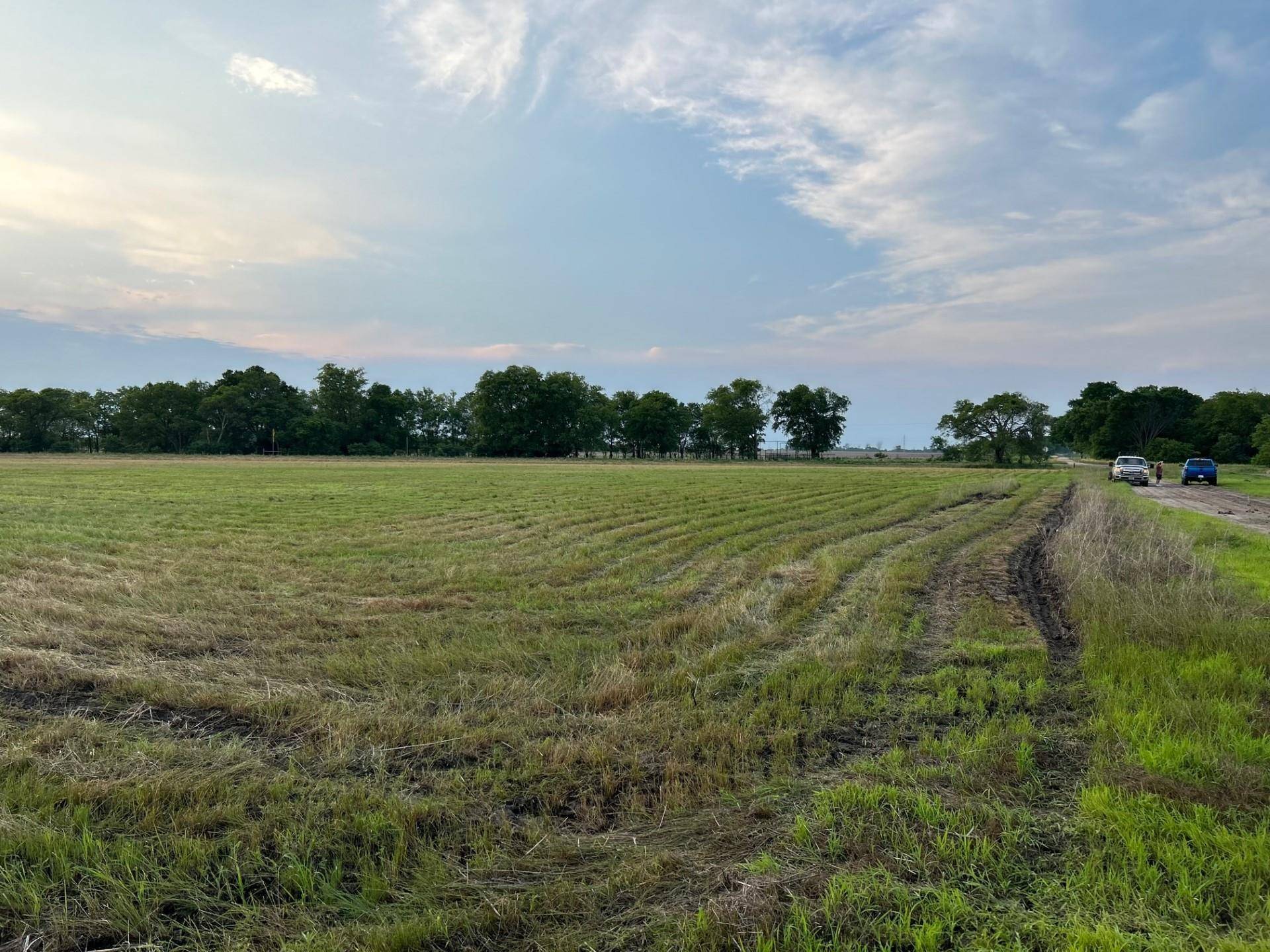 Cooper, TX 75432,TBD County Rd 2005