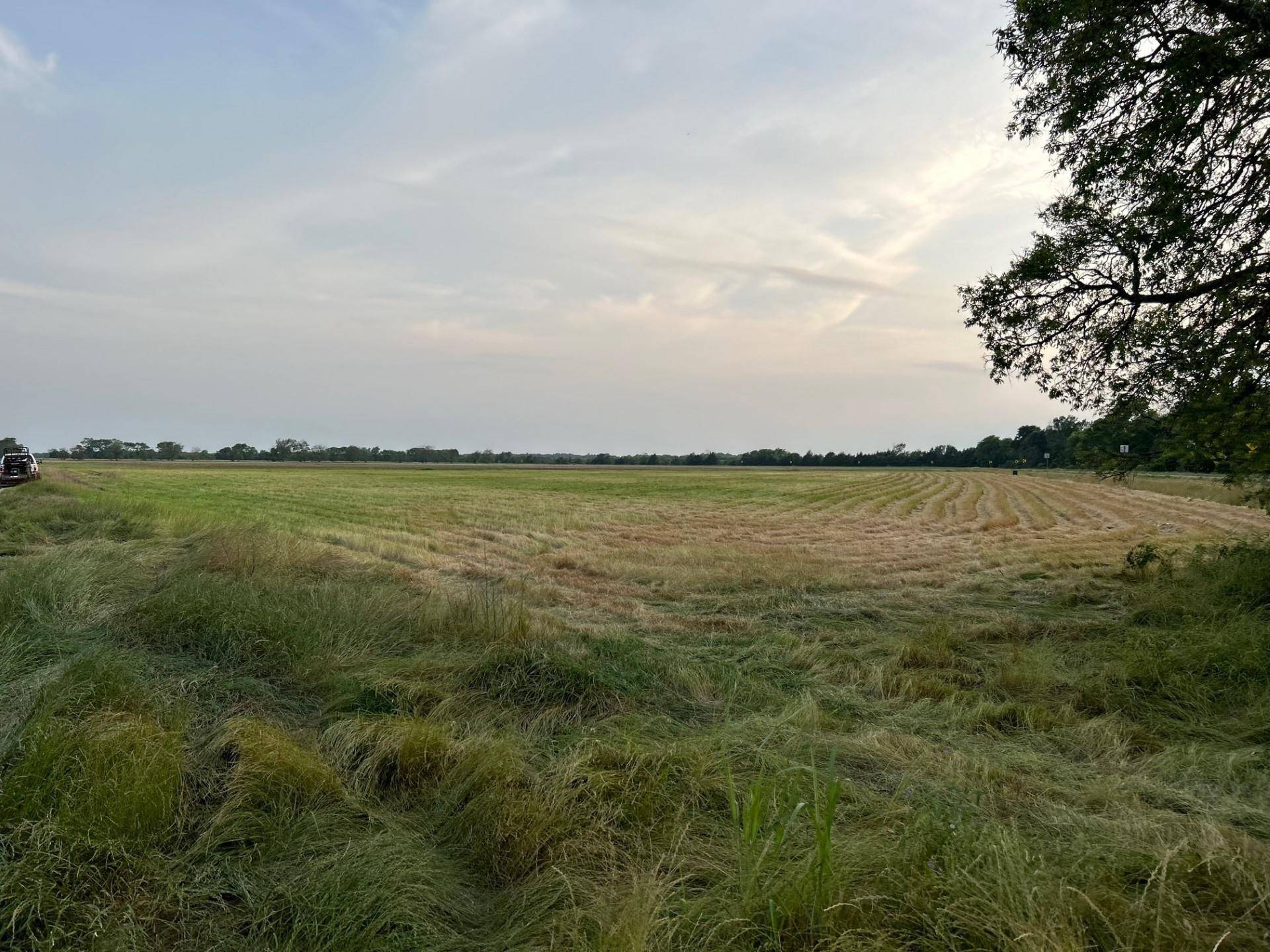 Cooper, TX 75432,TBD County Rd 2005