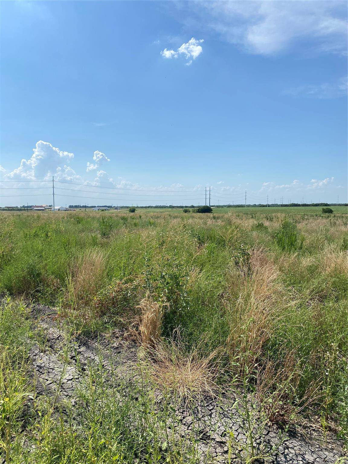 Nevada, TX 75173,Lot 8 County Road 592