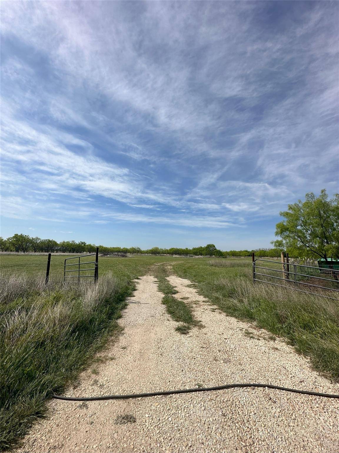 Ovalo, TX 79541,TBD 58AC County Road 133