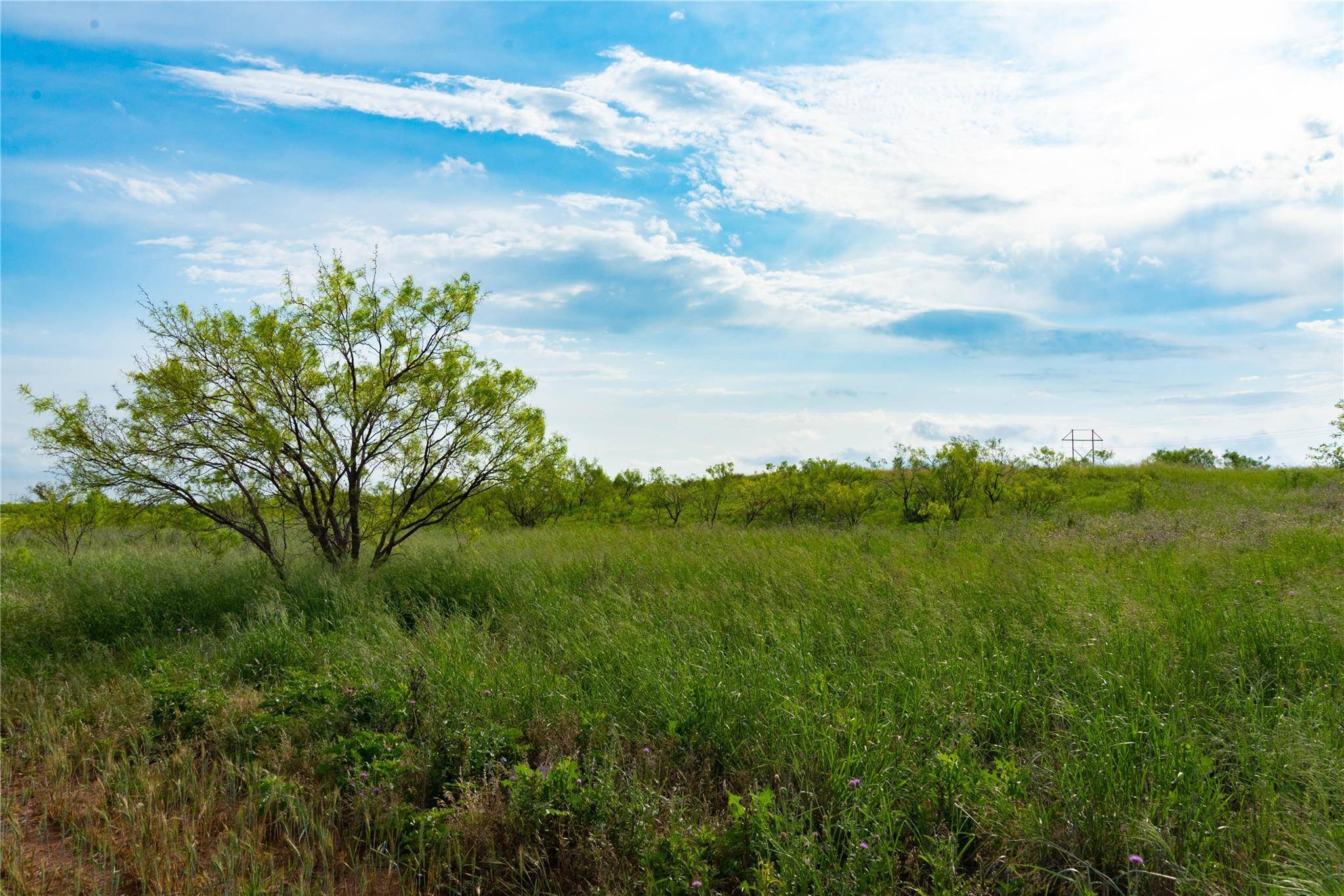 Merkel, TX 79536,TBD S Bull Wagon Road