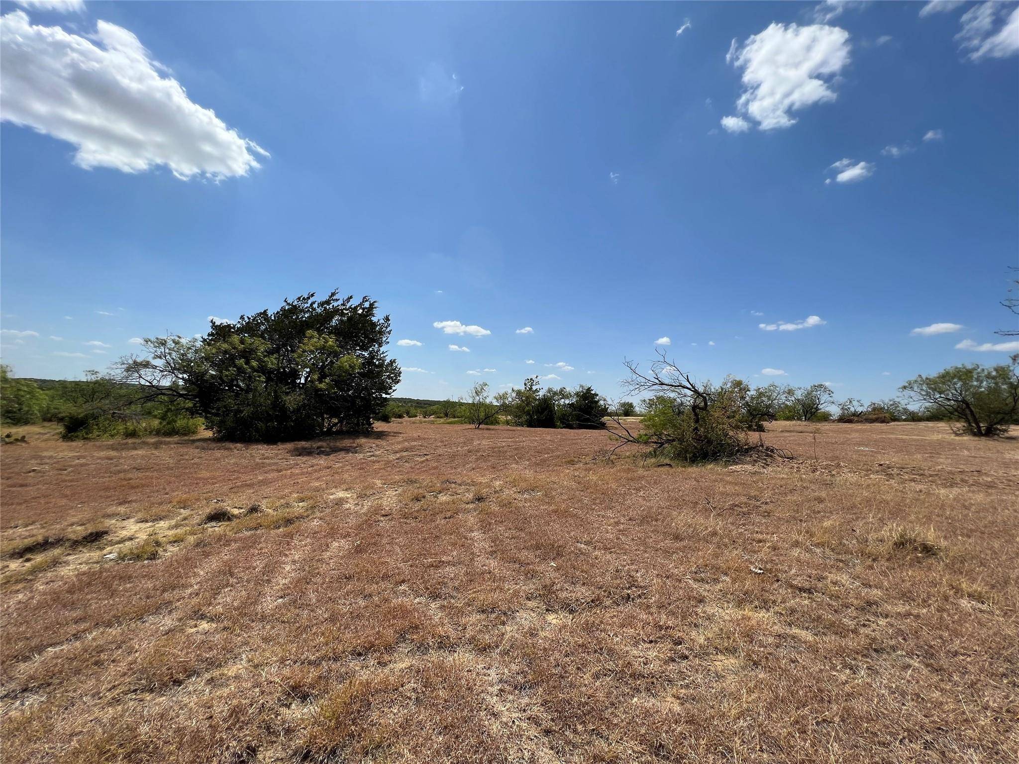 Hubbard, TX 76648,TBD St Hwy 31 N #Tract 12