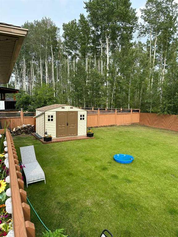 High Level, AB T0H 1Z0,5 Black Spruce DR