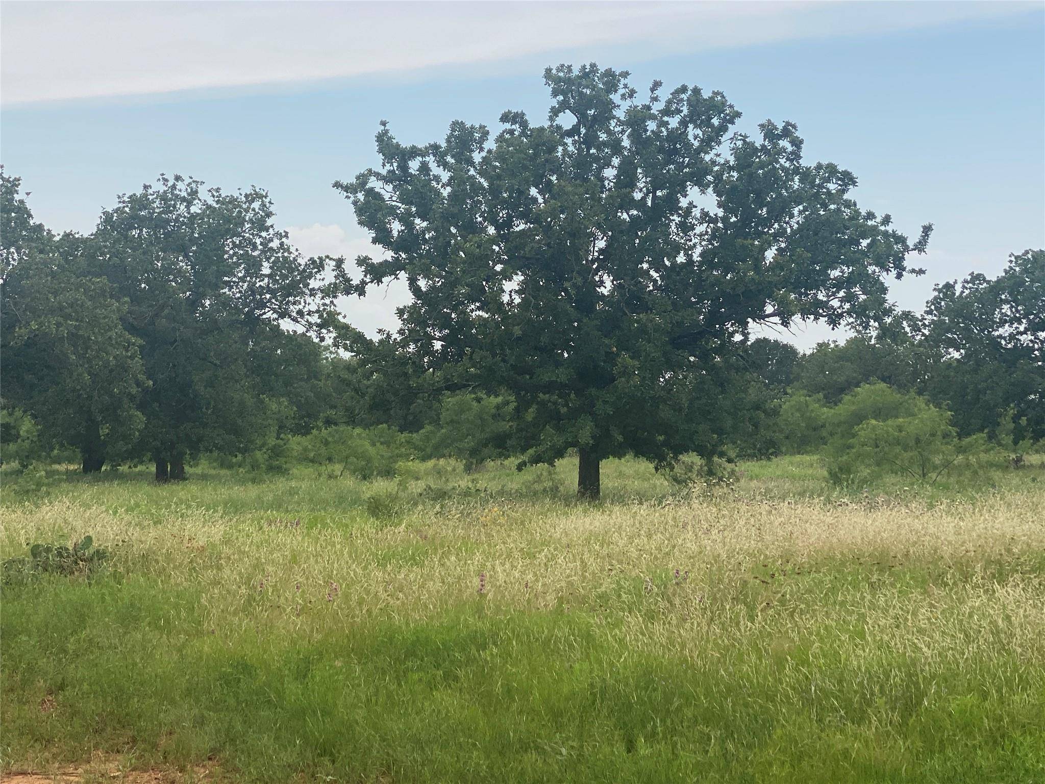 Burkett, TX 76828,0000 CR 178