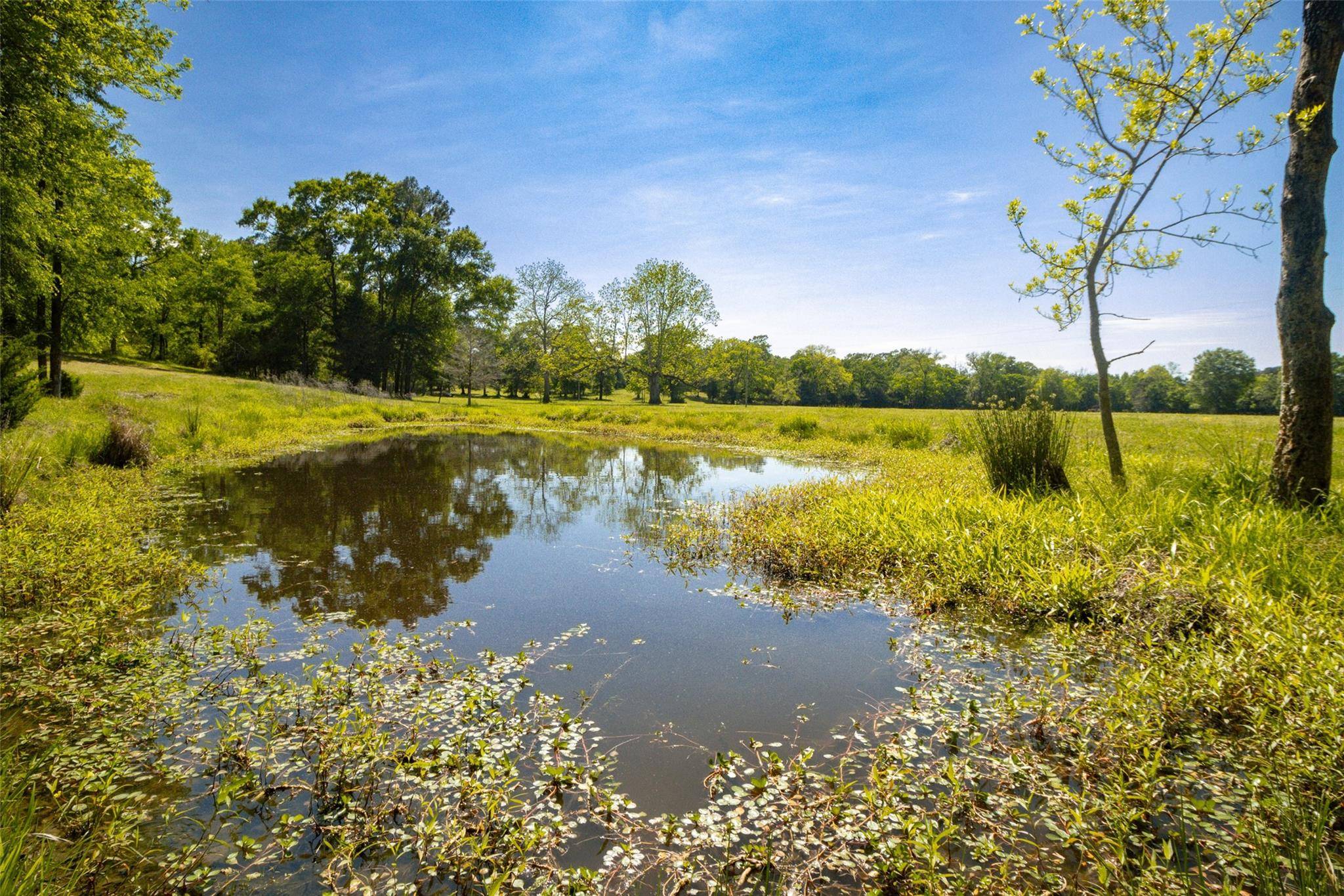 Livingston, TX 77351,1581 Triple Creek Loop