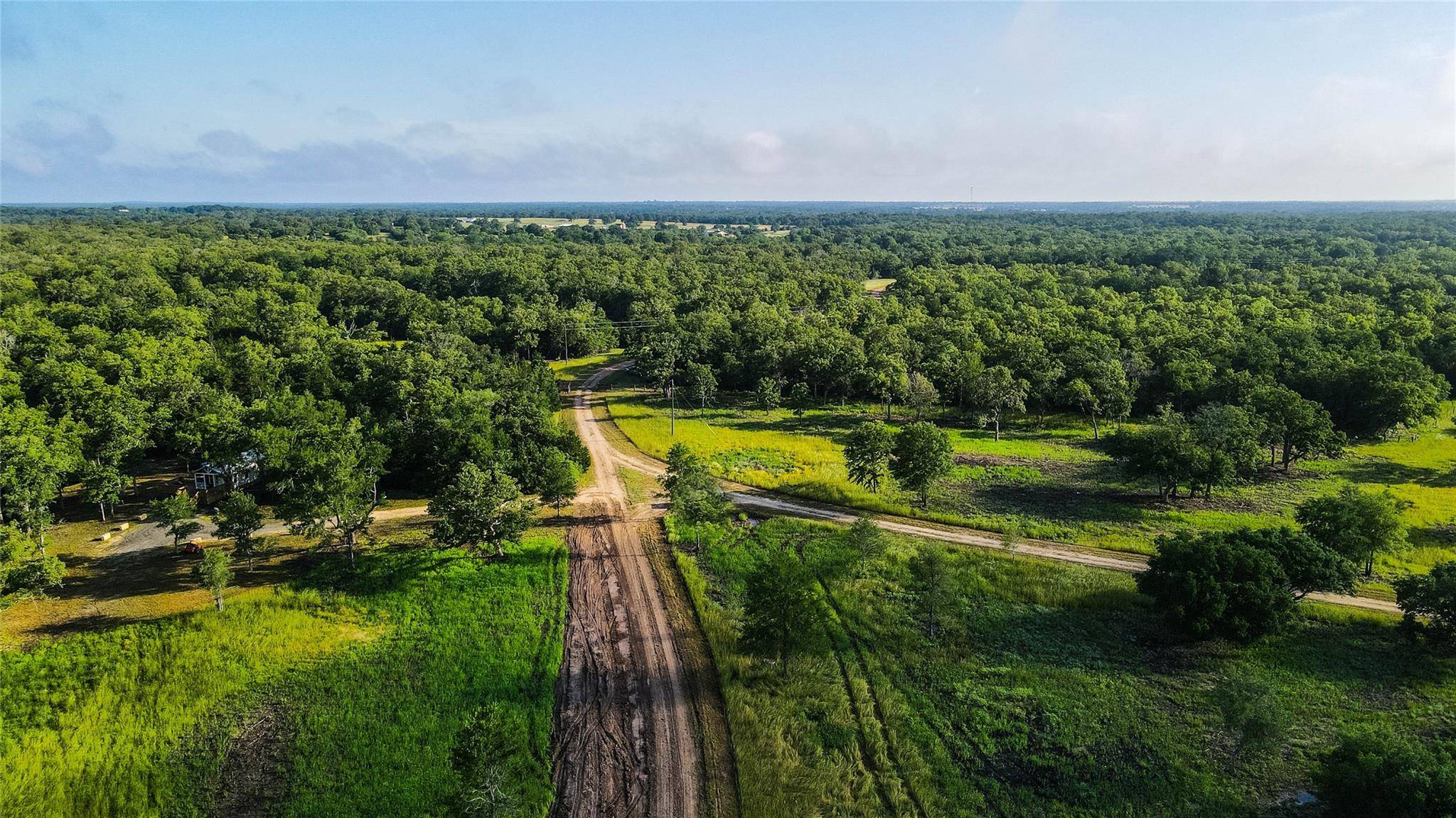 Somerville, TX 77836,11414 County Road 162 (+/-436.6 acres)