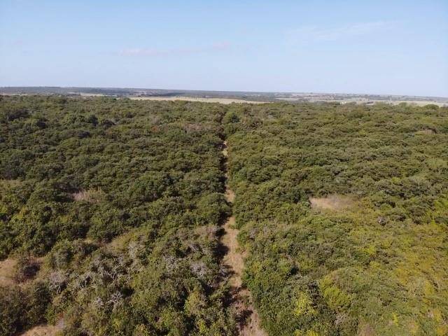 Pottsville, TX 76531,TBD CR 647