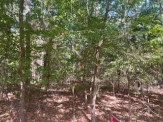 Mabank, TX 75156,TBD Hickory Trace