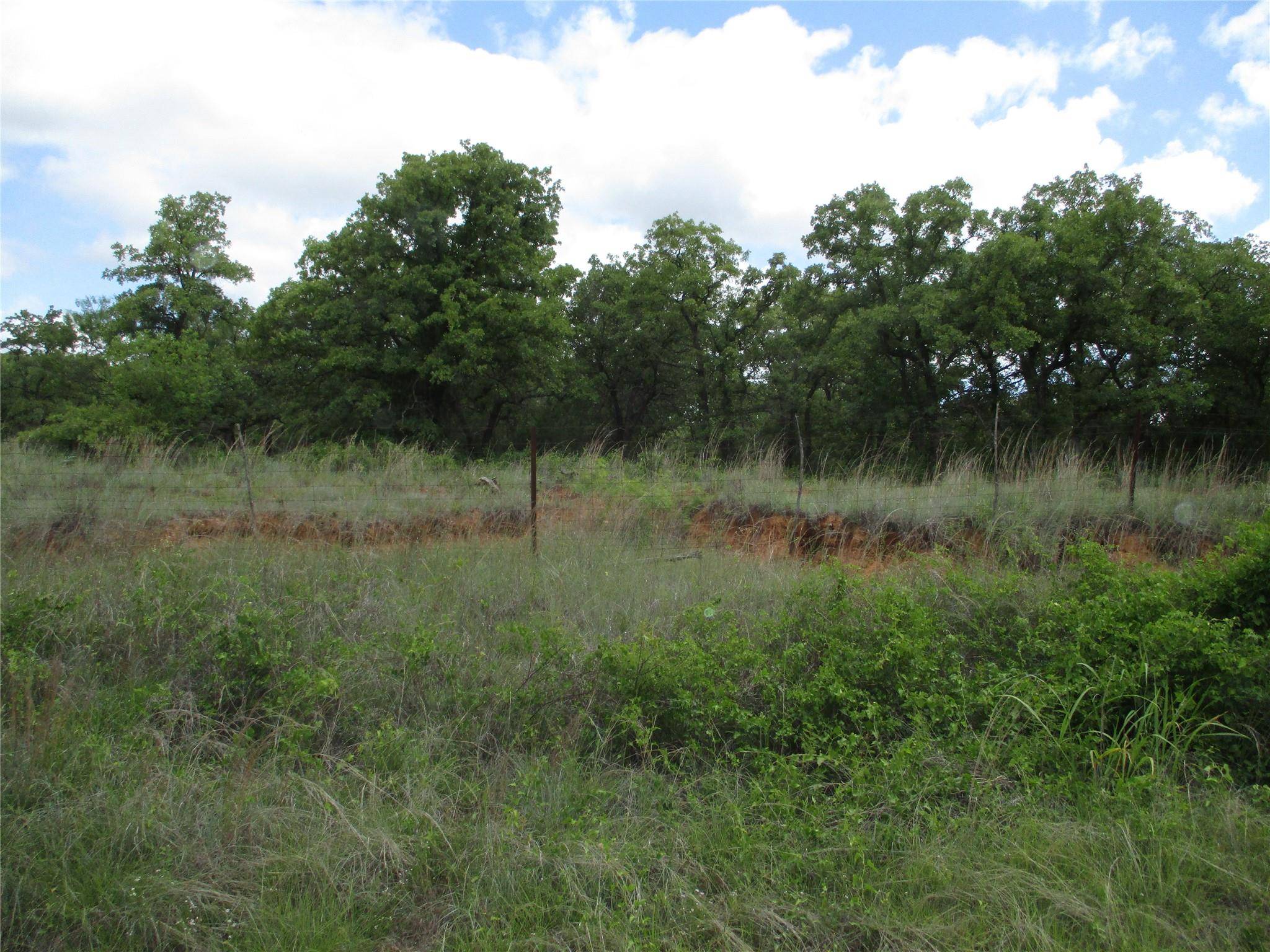 Perrin, TX 76486,15 ac Two Bush