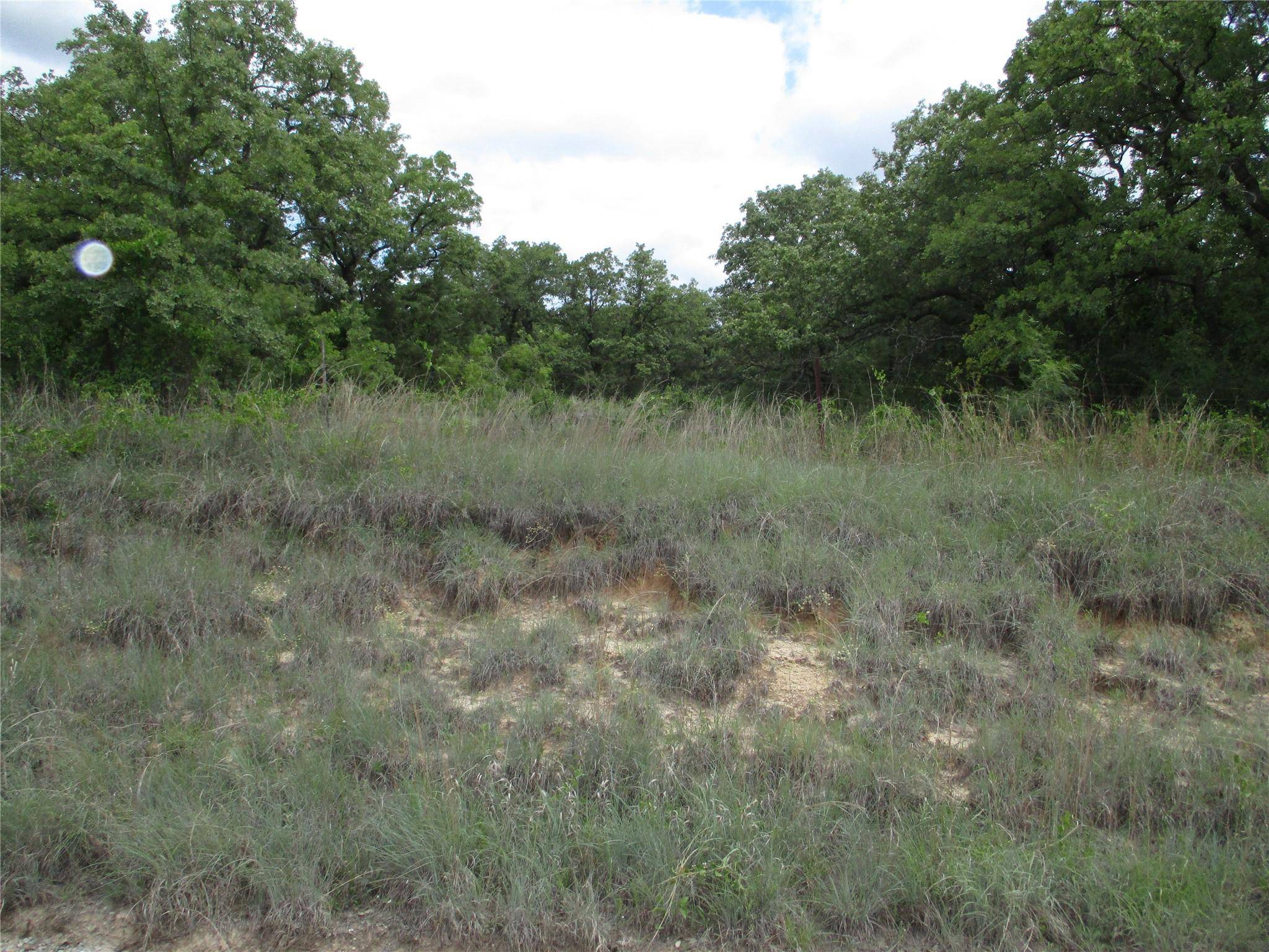 Perrin, TX 76486,15 ac Two Bush