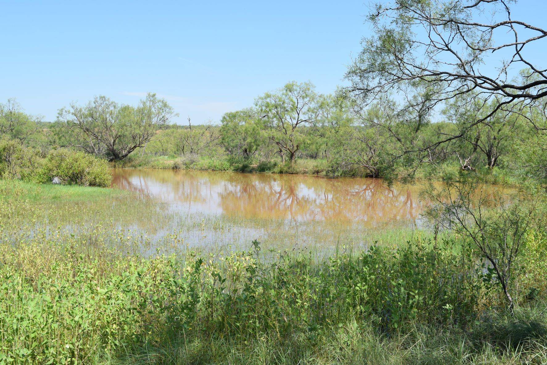 Coleman, TX 76834,TBD FM 2131 Road