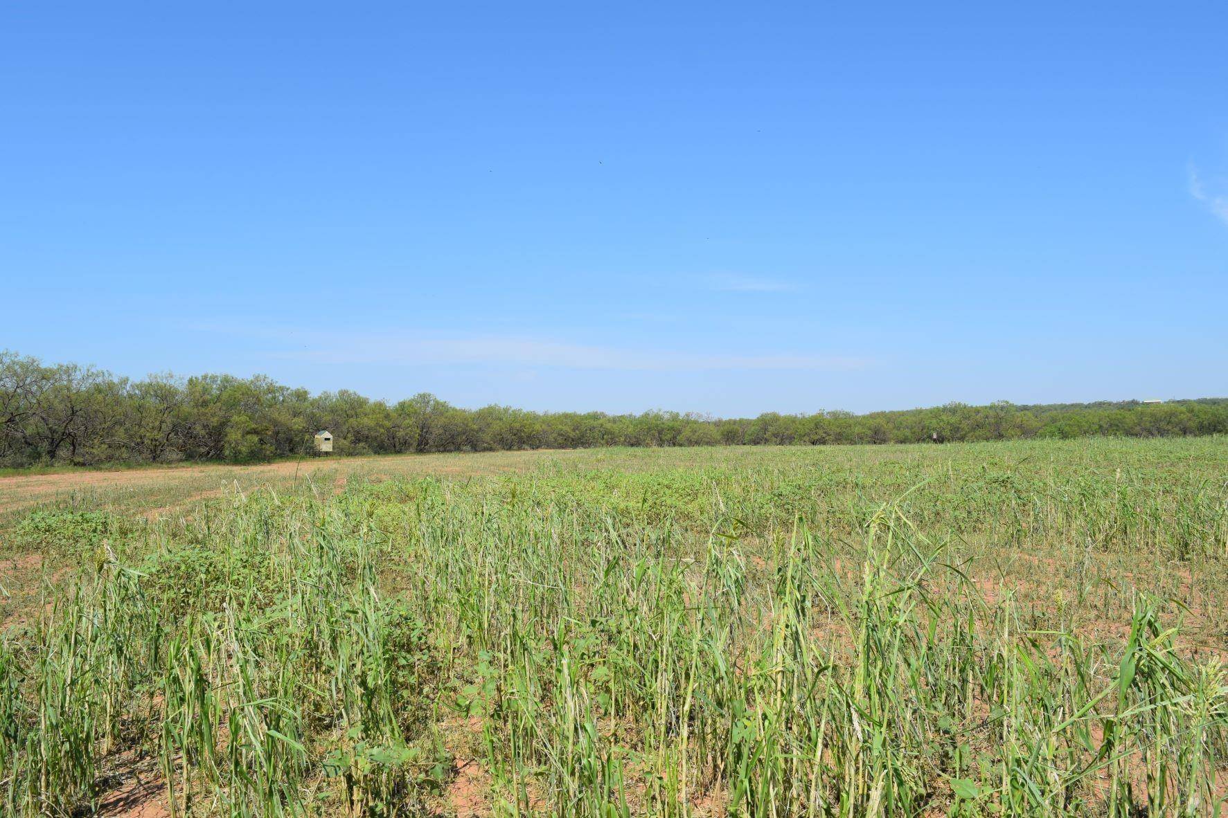 Coleman, TX 76834,TBD FM 2131 Road