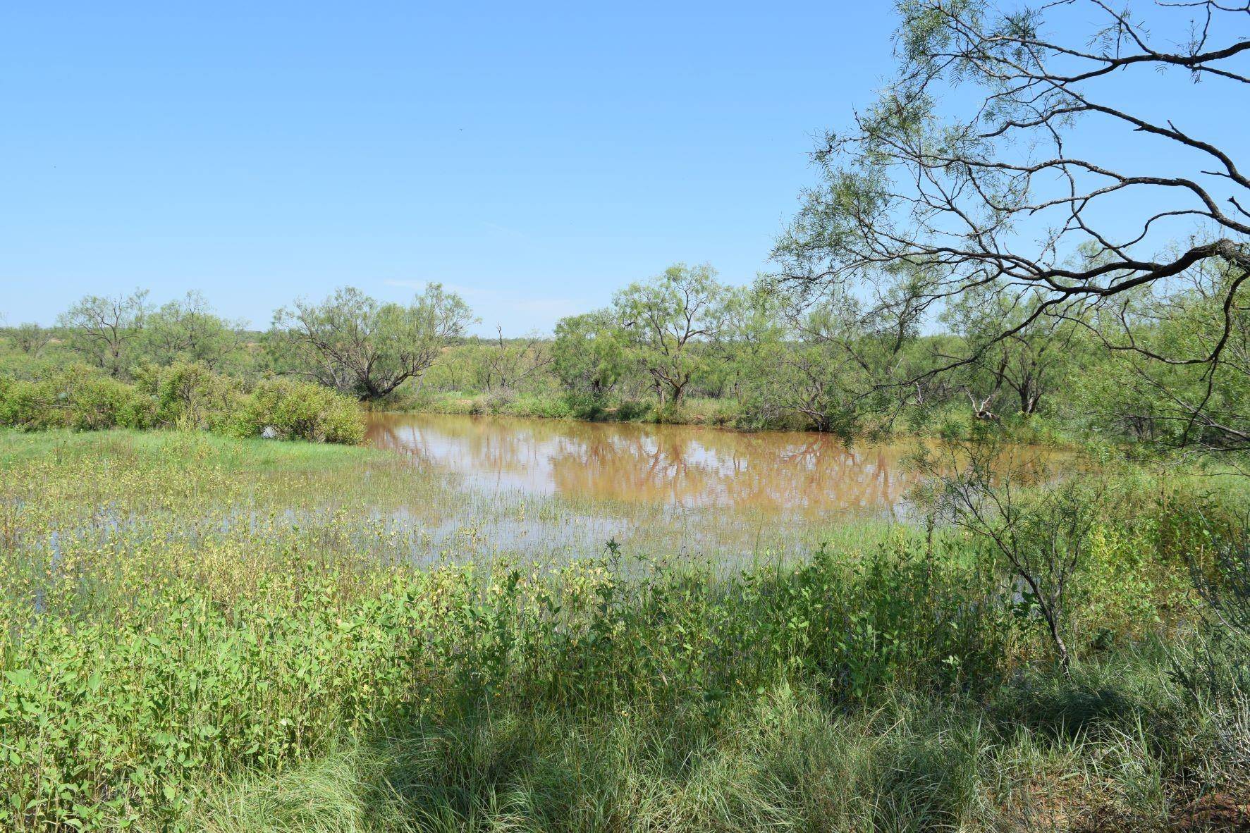 Coleman, TX 76834,TBD FM 2131 Road