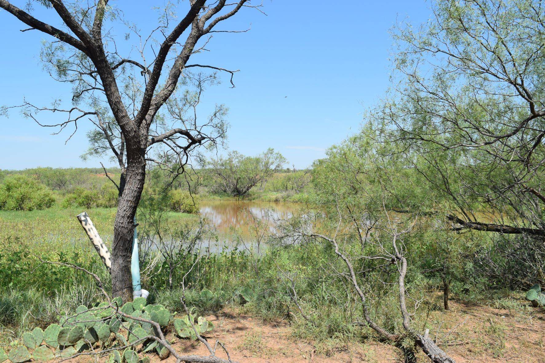 Coleman, TX 76834,TBD FM 2131 Road