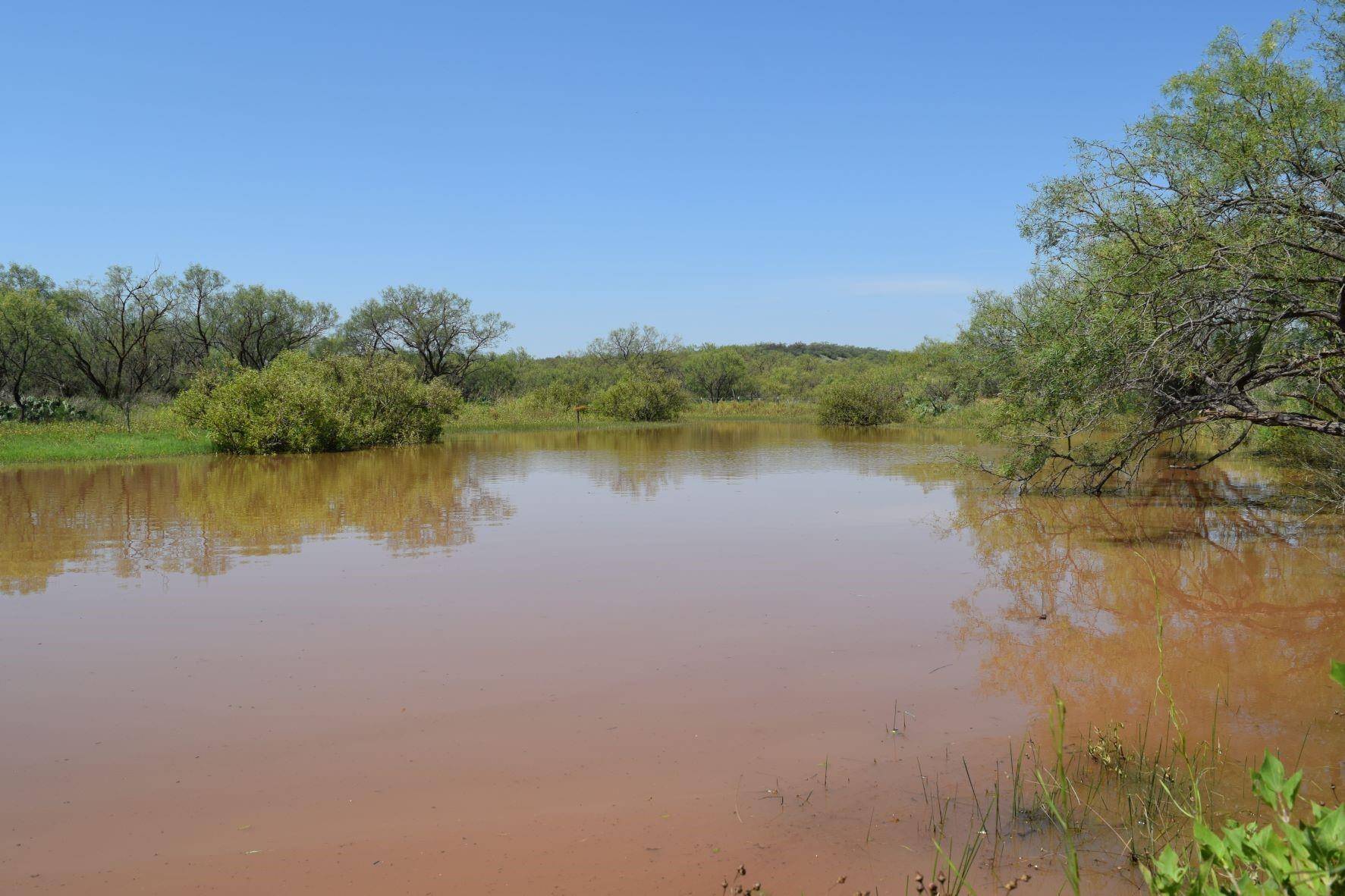 Coleman, TX 76834,TBD FM 2131 Road