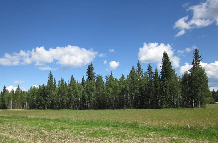 Rural Clearwater County, AB T0M 0M0,44 Boundary