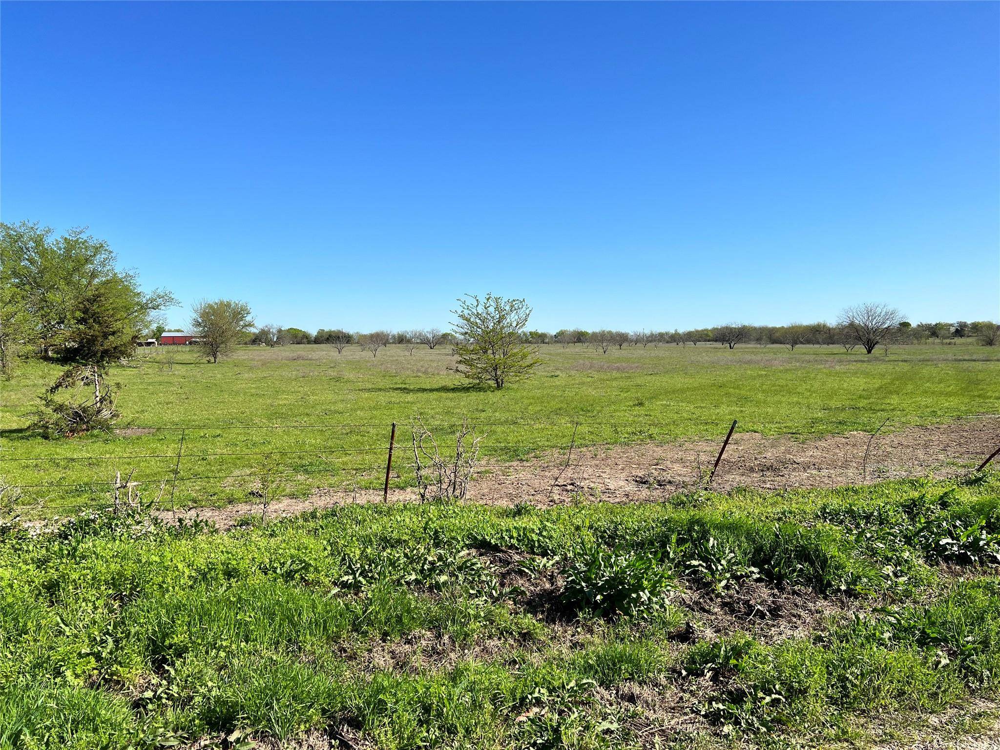 Collinsville, TX 76233,50ac Burgin Road