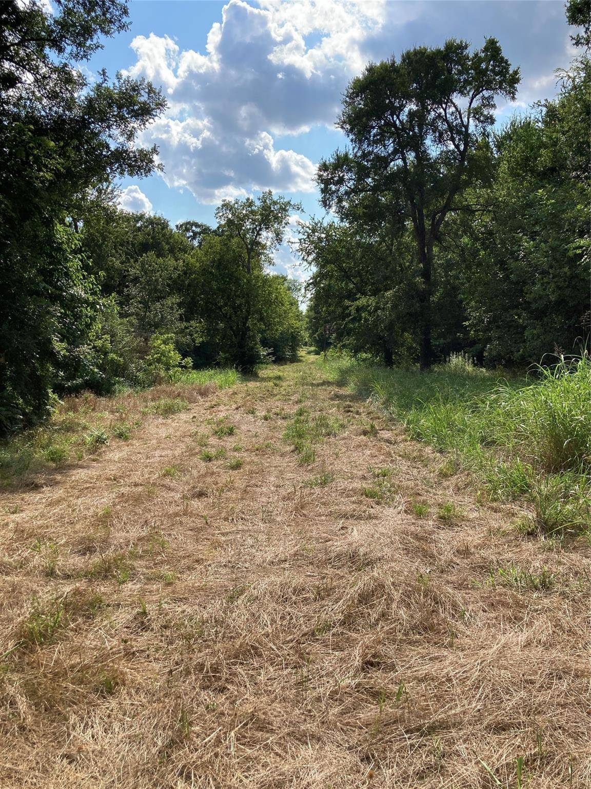 Wolfe City, TX 75496,000 Off County Road 4502