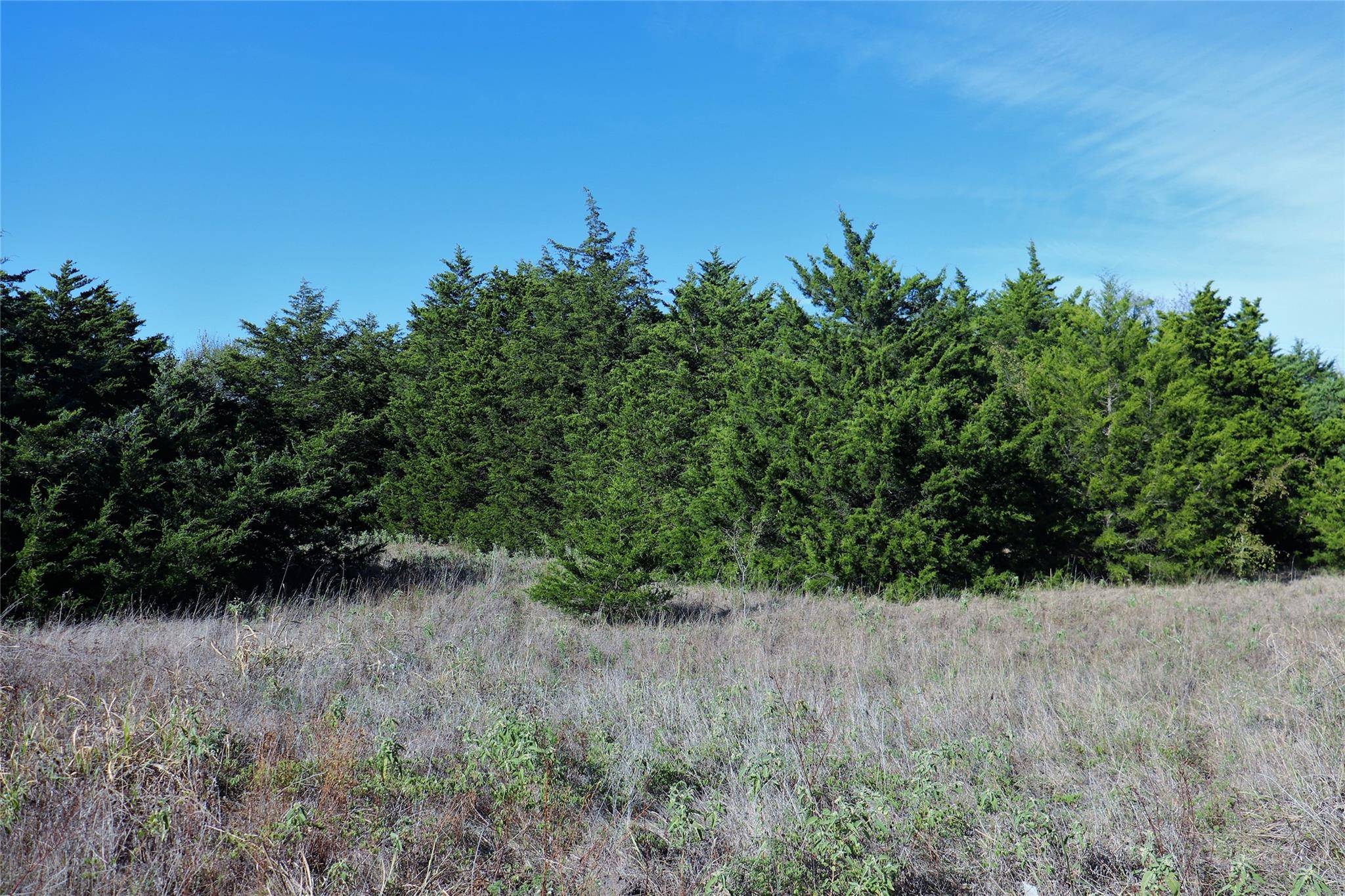 Quinlan, TX 75474,Lot 8 County Rd 3501