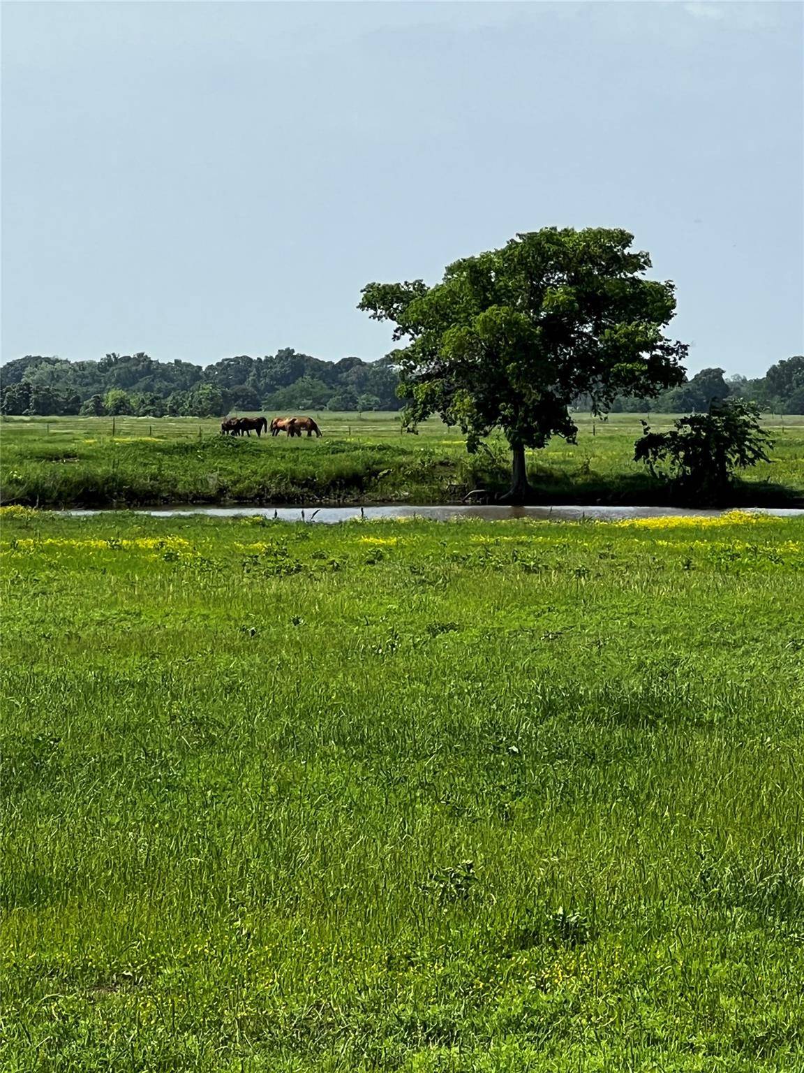 Sadler, TX 76264,TBD Lot 6 Brooks Road