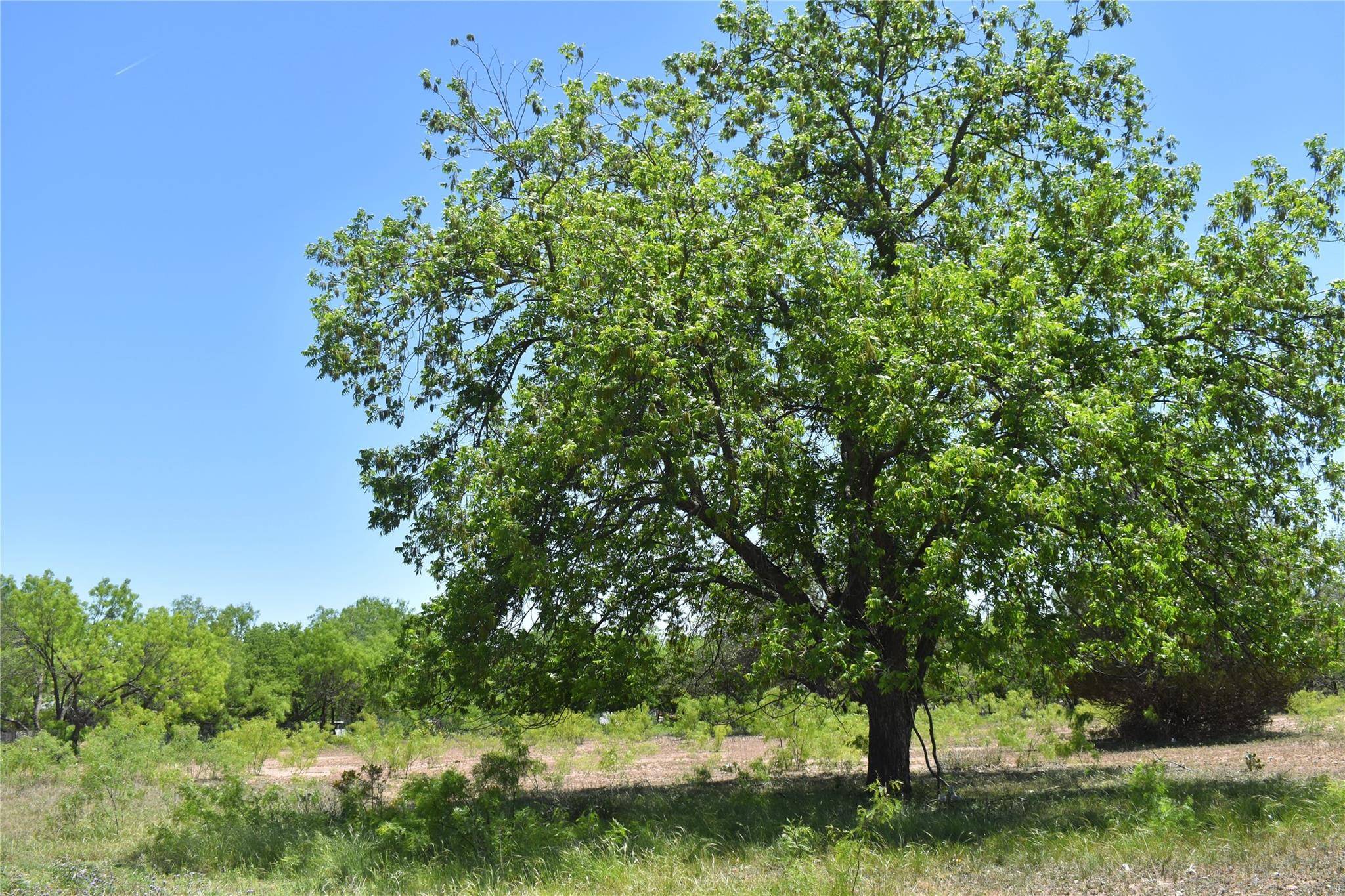 Brady, TX 76825,TBD Mesquite