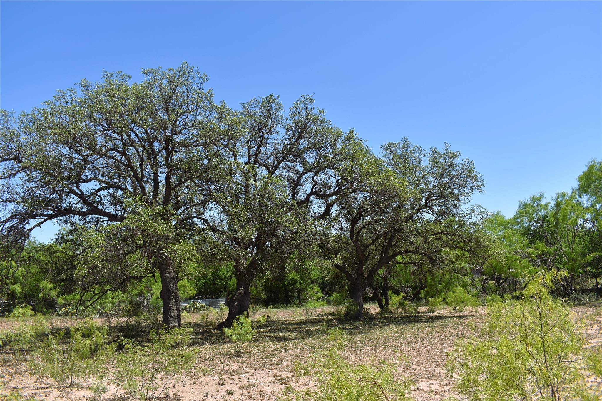 Brady, TX 76825,TBD Mesquite