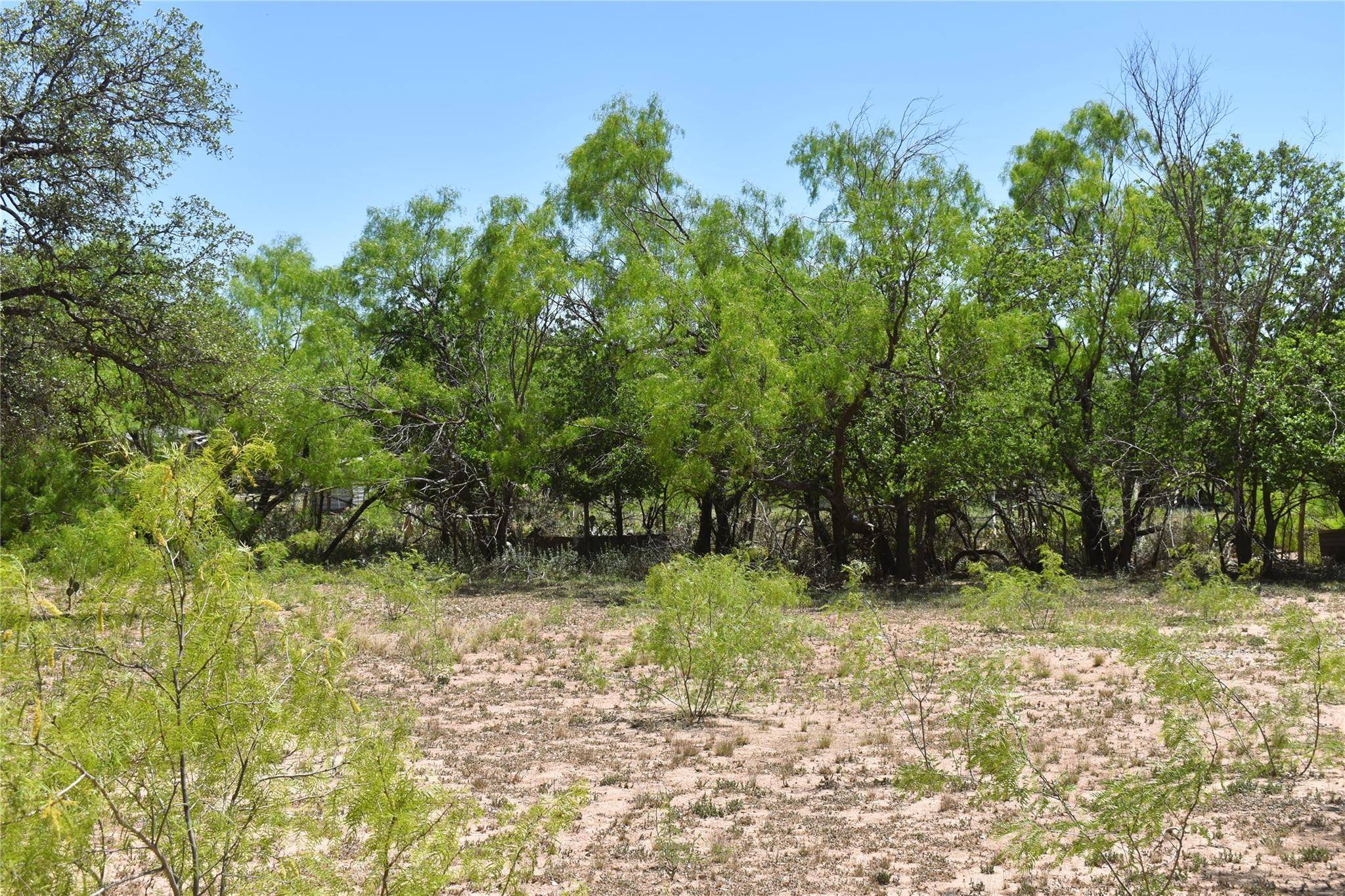 Brady, TX 76825,TBD Mesquite