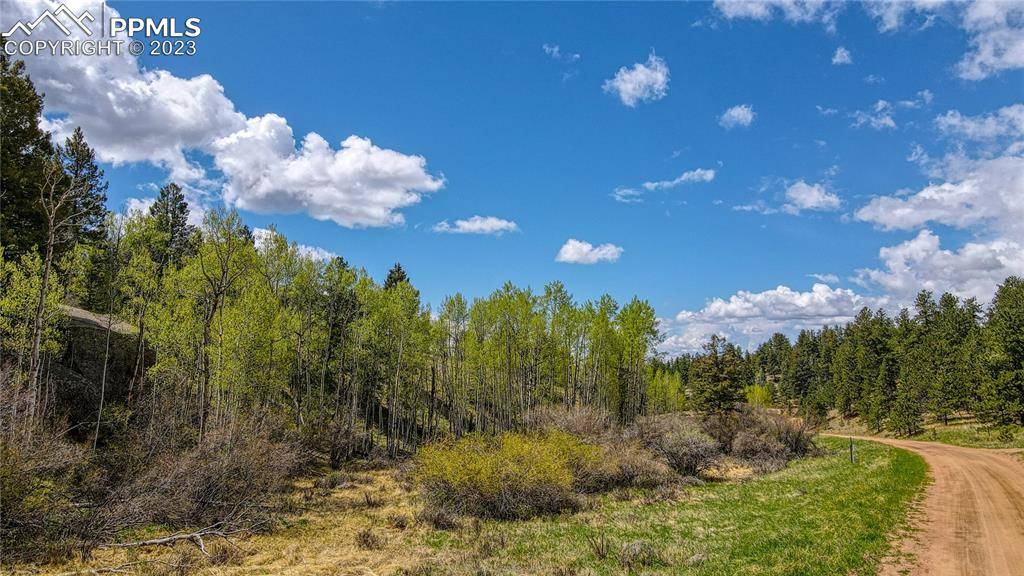 Florissant, CO 80816,765 Pinon LN