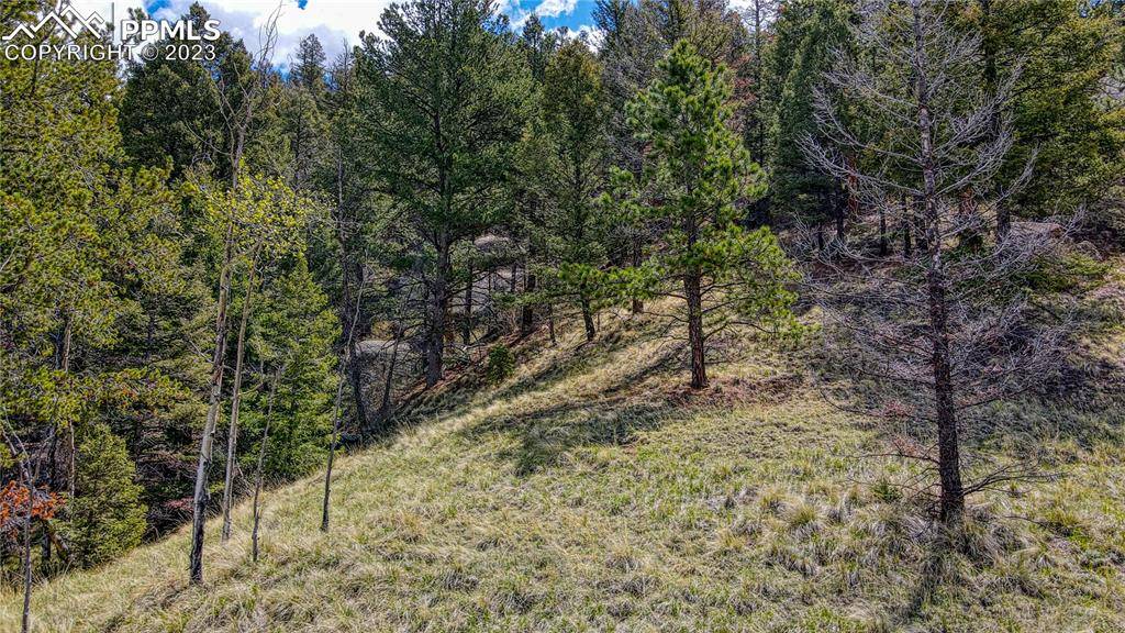 Florissant, CO 80816,765 Pinon LN