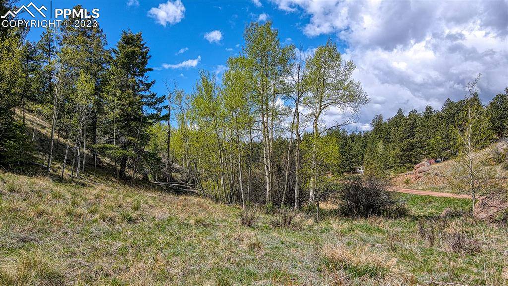 Florissant, CO 80816,765 Pinon LN