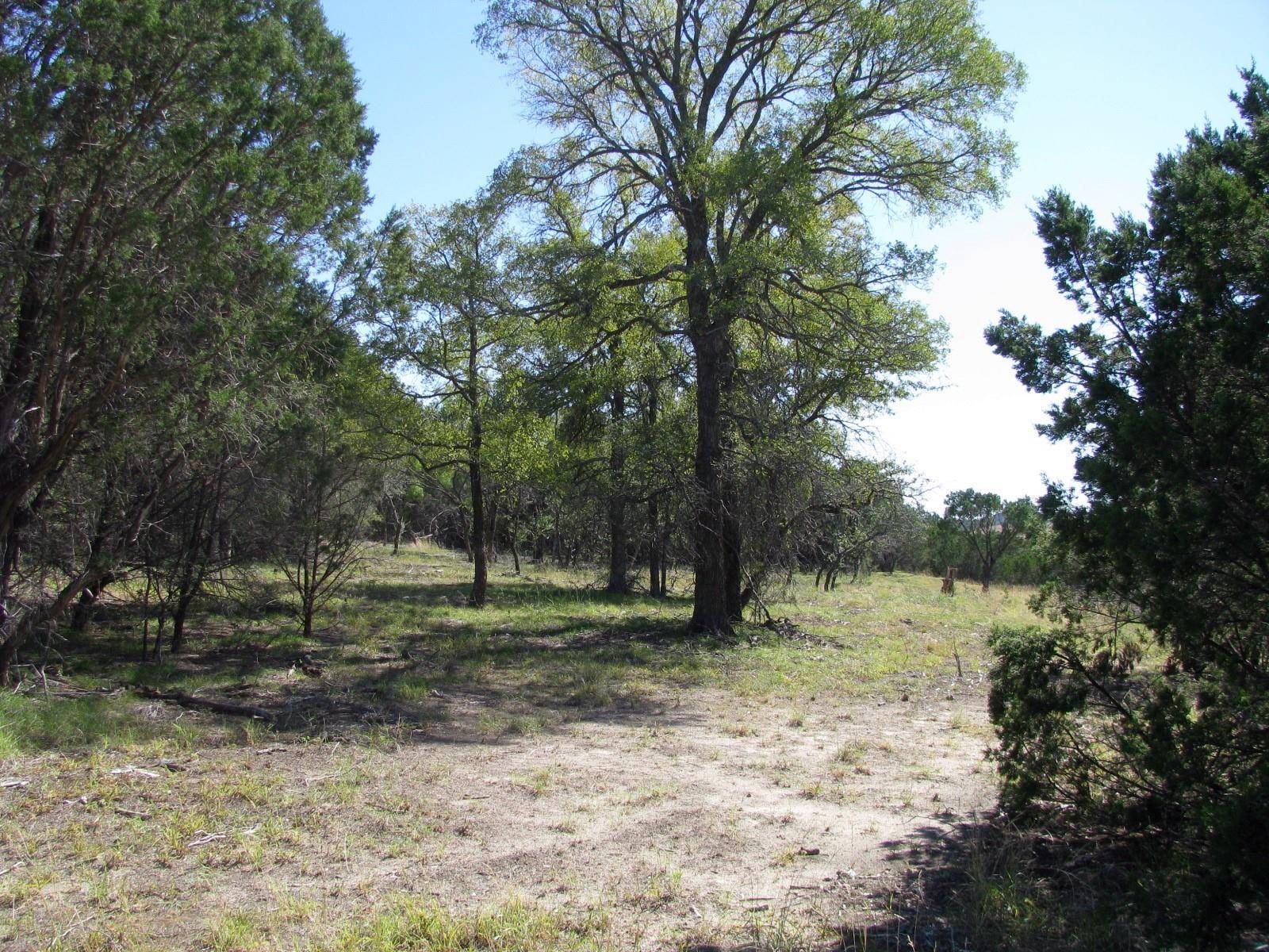 Evant, TX 76525,TBD Flint Rock Court