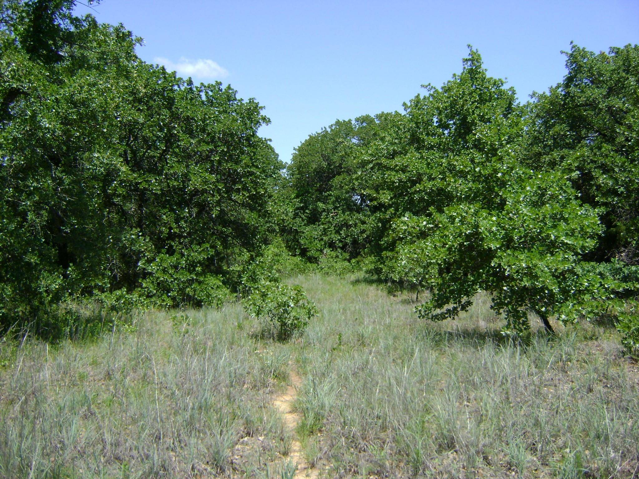 Azle, TX 76020,TBD Griffin Street