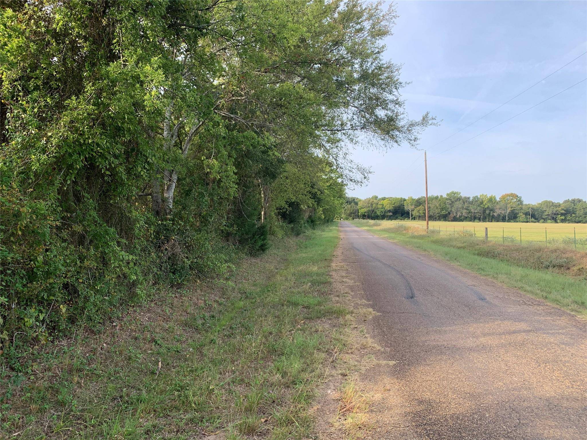 Canton, TX 75103,TBD VZ County Road 4106