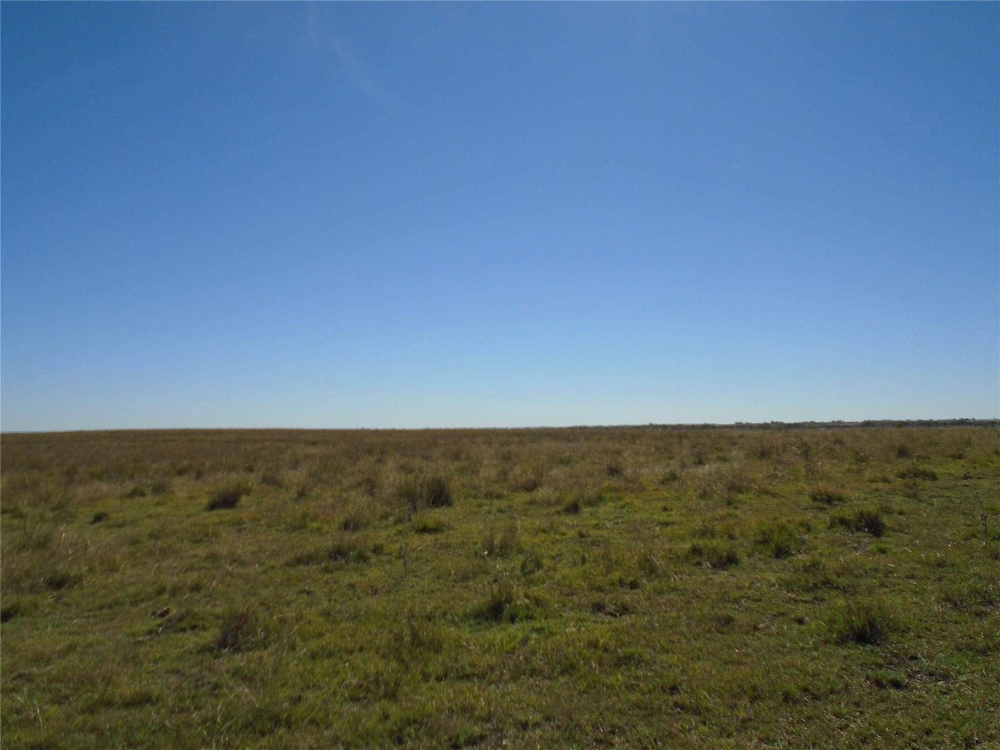 Grandview, TX 76050,TBD CR 301