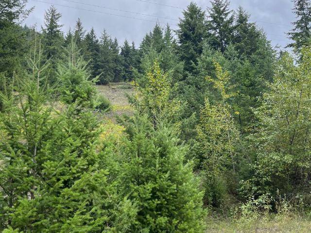 2019 YELLOWHEAD HIGHWAY, Clearwater, BC V0E 1N1