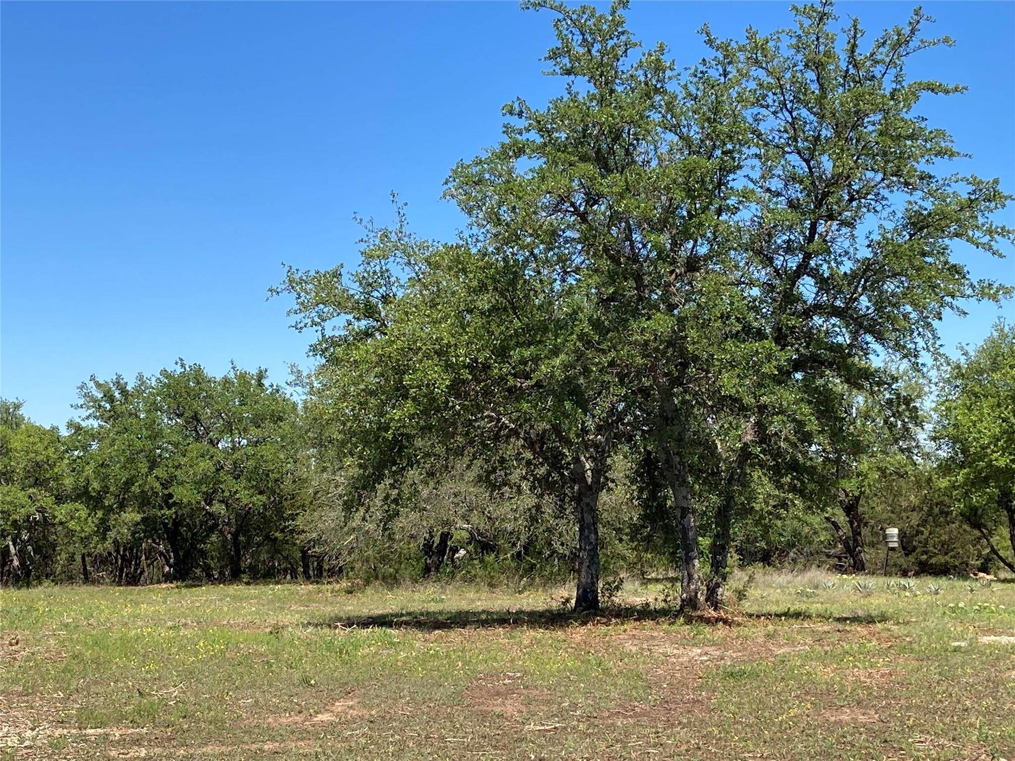 Glen Rose, TX 76043,Lot 12 Falcon Drive